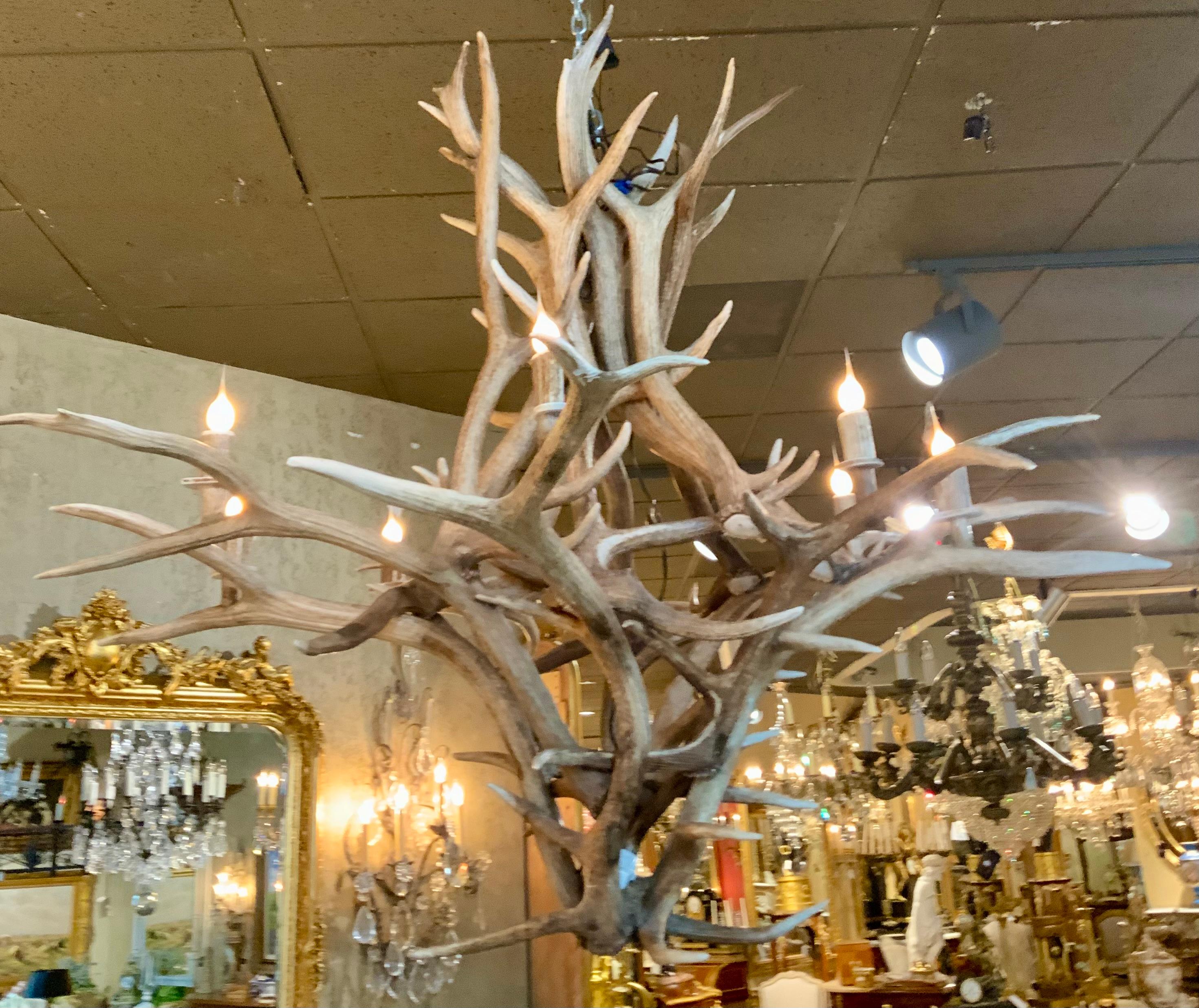 Large American elk horn chandelier with eight lights In Excellent Condition In Houston, TX