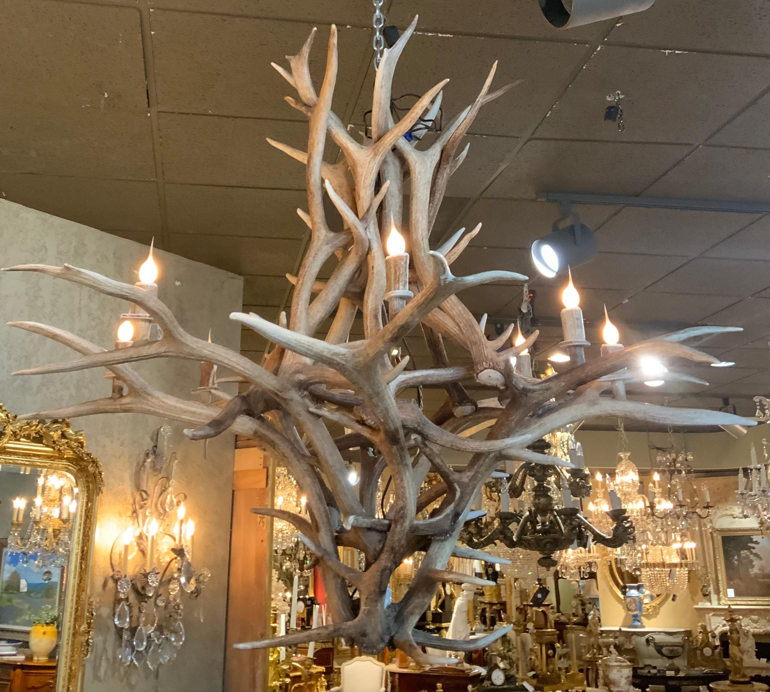 20th Century Large American elk horn chandelier with eight lights