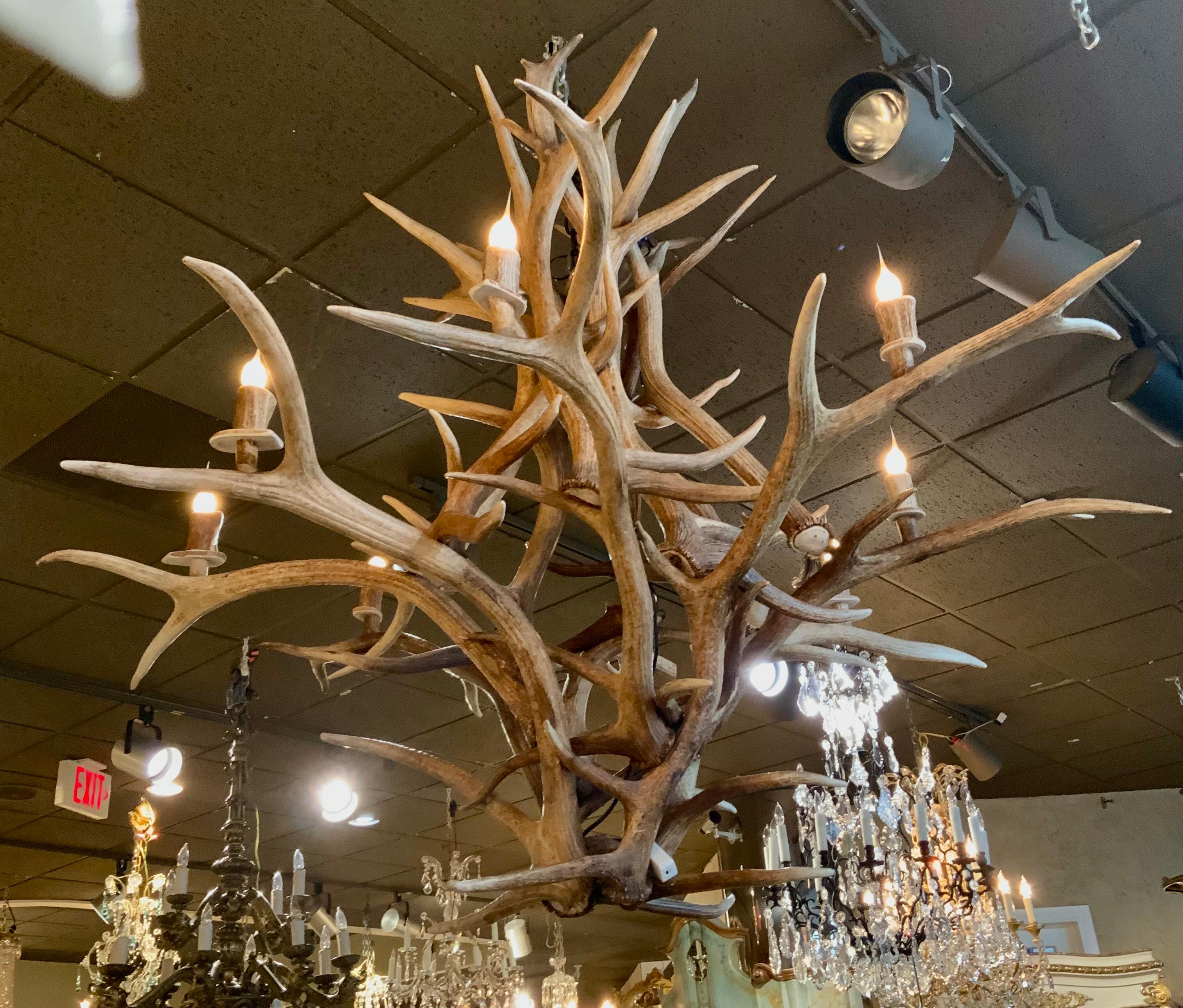 Large American elk horn chandelier with eight lights 1