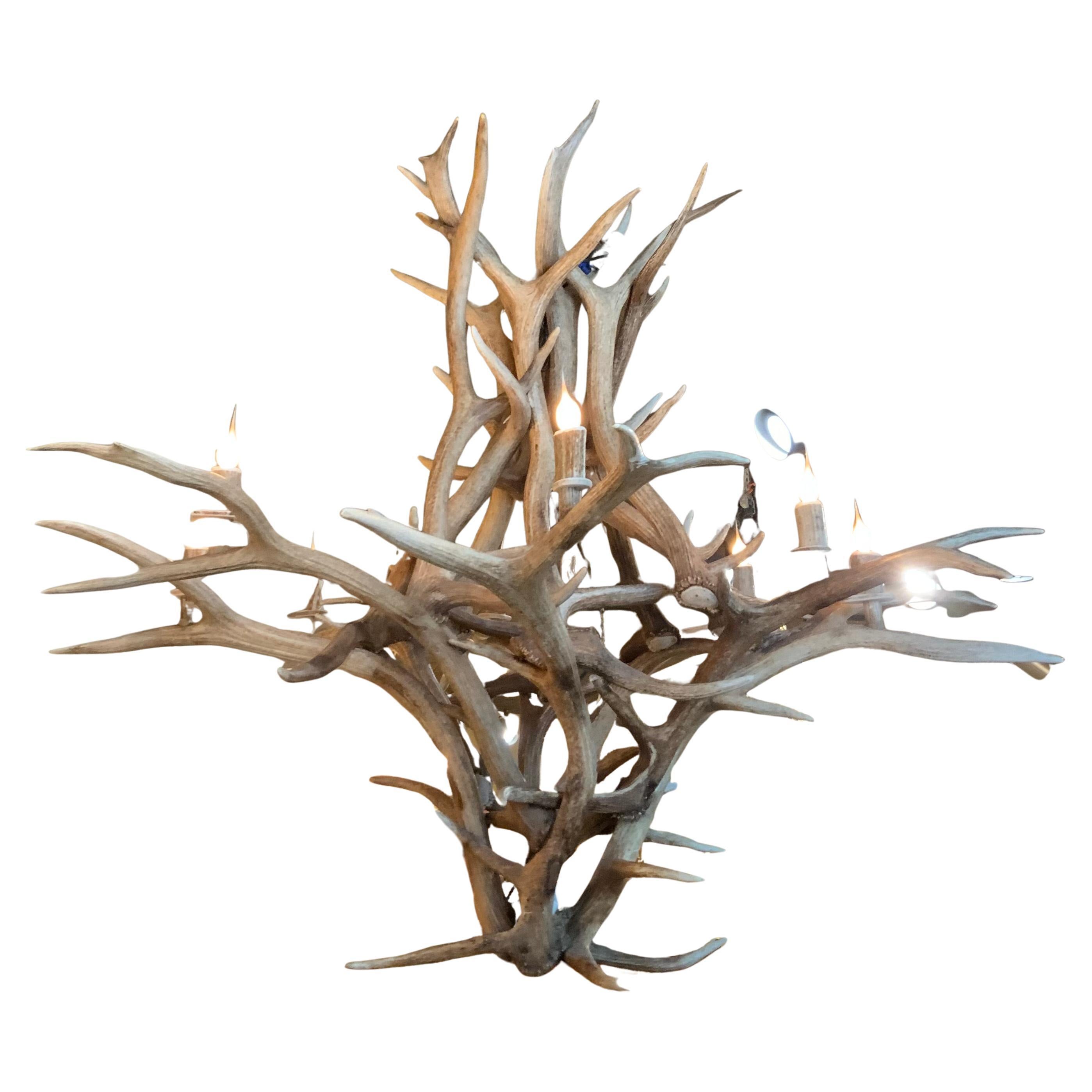 Large American elk horn chandelier with eight lights