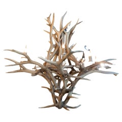 Large American elk horn chandelier with eight lights