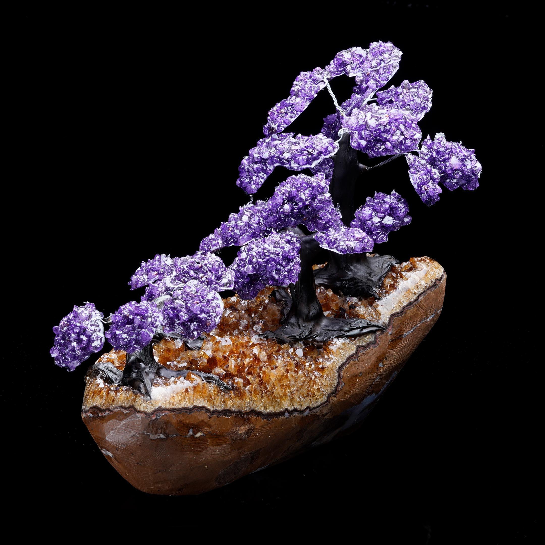 Quartz Large Amethyst Gemstone Tree on Citrine Cluster Base For Sale