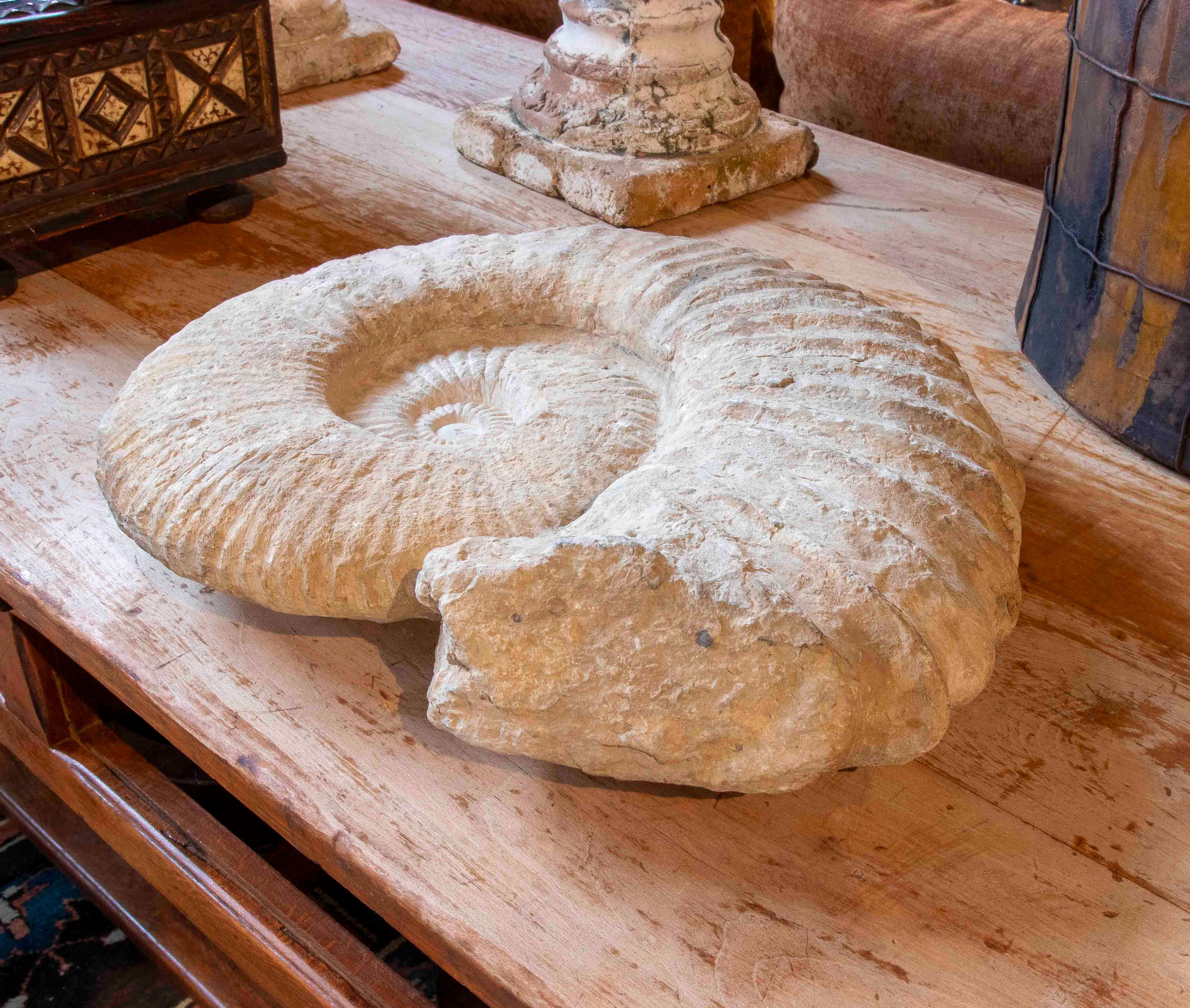 18th Century and Earlier Large Ammonite Fossil in Limestone For Sale