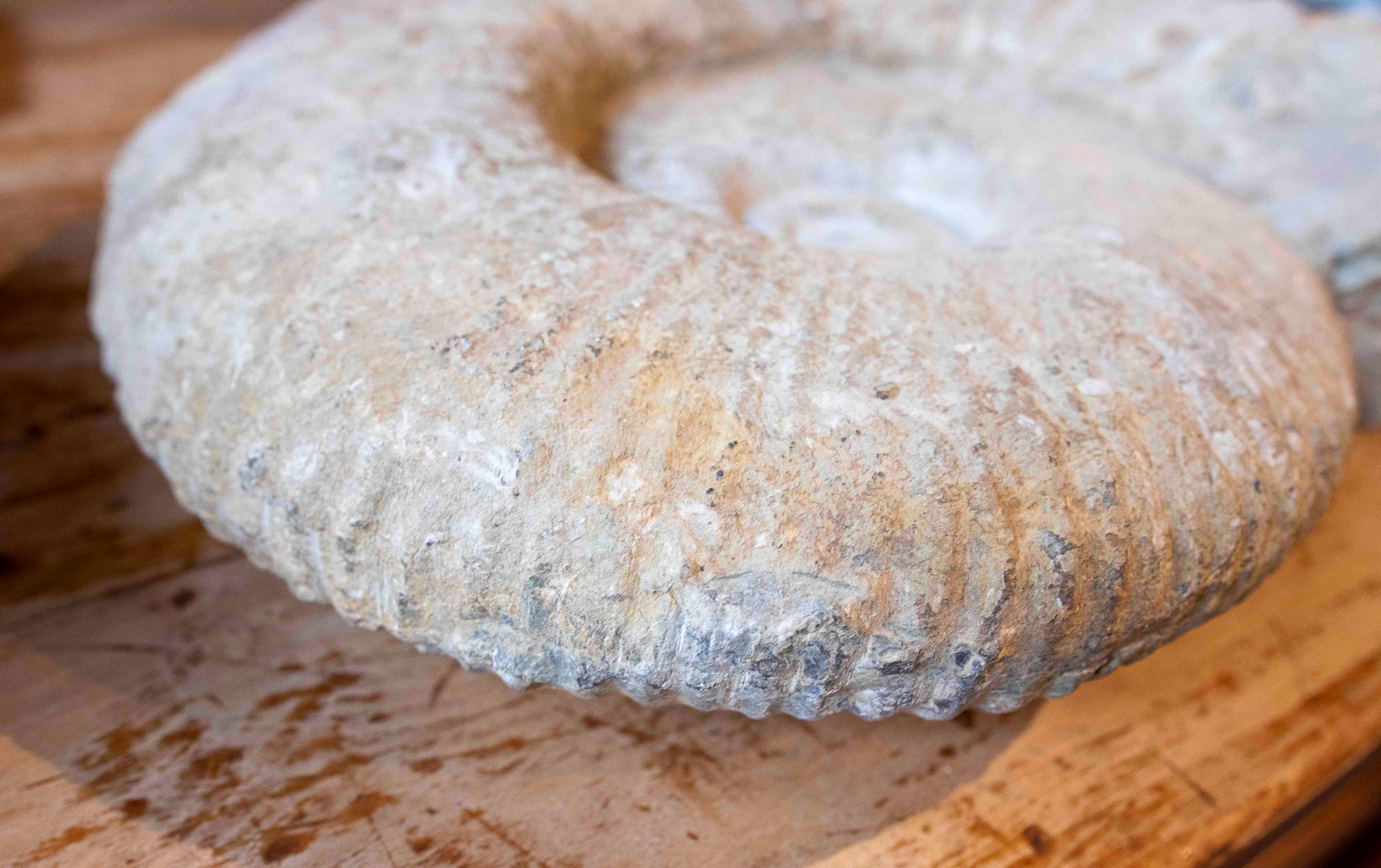Large Ammonite Fossil in Limestone For Sale 4
