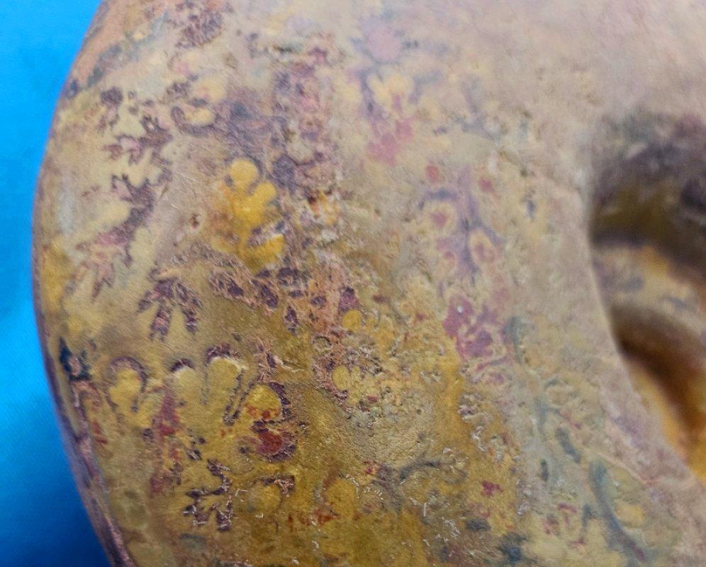 Großer Ammonit, seltene Pachylytoceras-Dilicidum-Art, 190-200 Millionen Jahre alt im Angebot 7