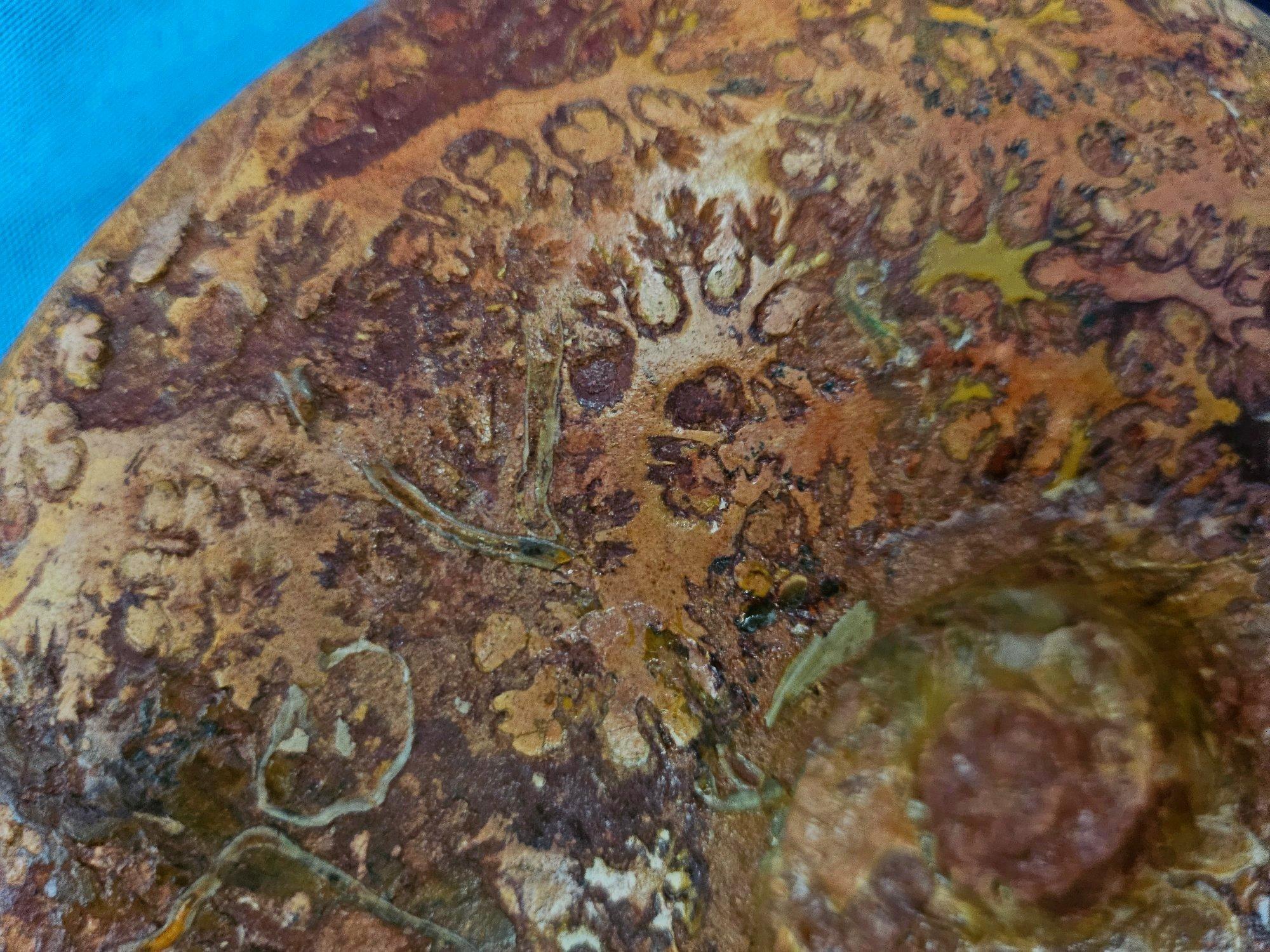 Großer Ammonit, seltene Pachylytoceras-Dilicidum-Art, 190-200 Millionen Jahre alt (Muschel) im Angebot