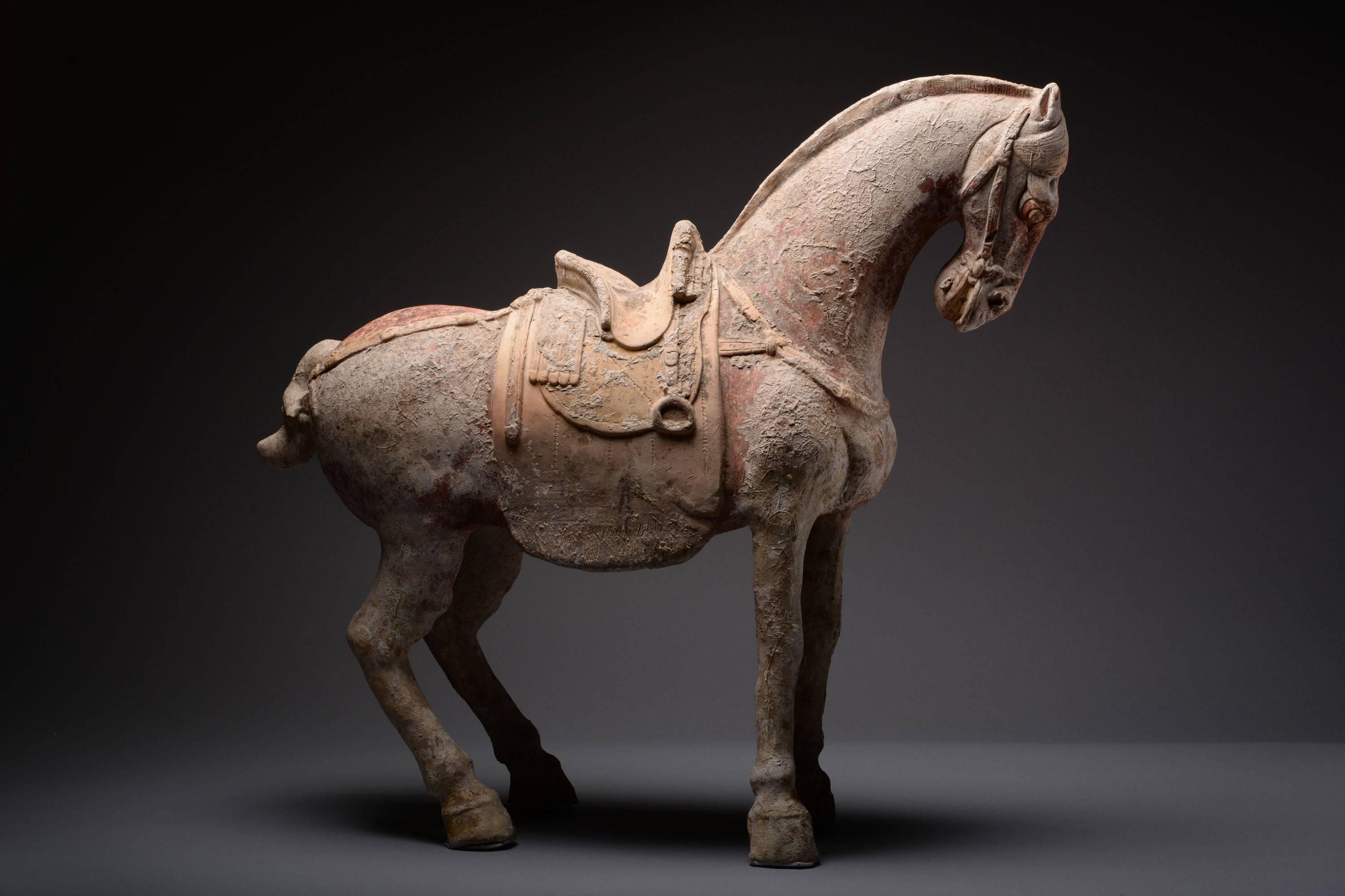Large Ancient Chinese Terracotta Sui Dynasty Horse Sculpture - 600 AD In Excellent Condition In London, GB