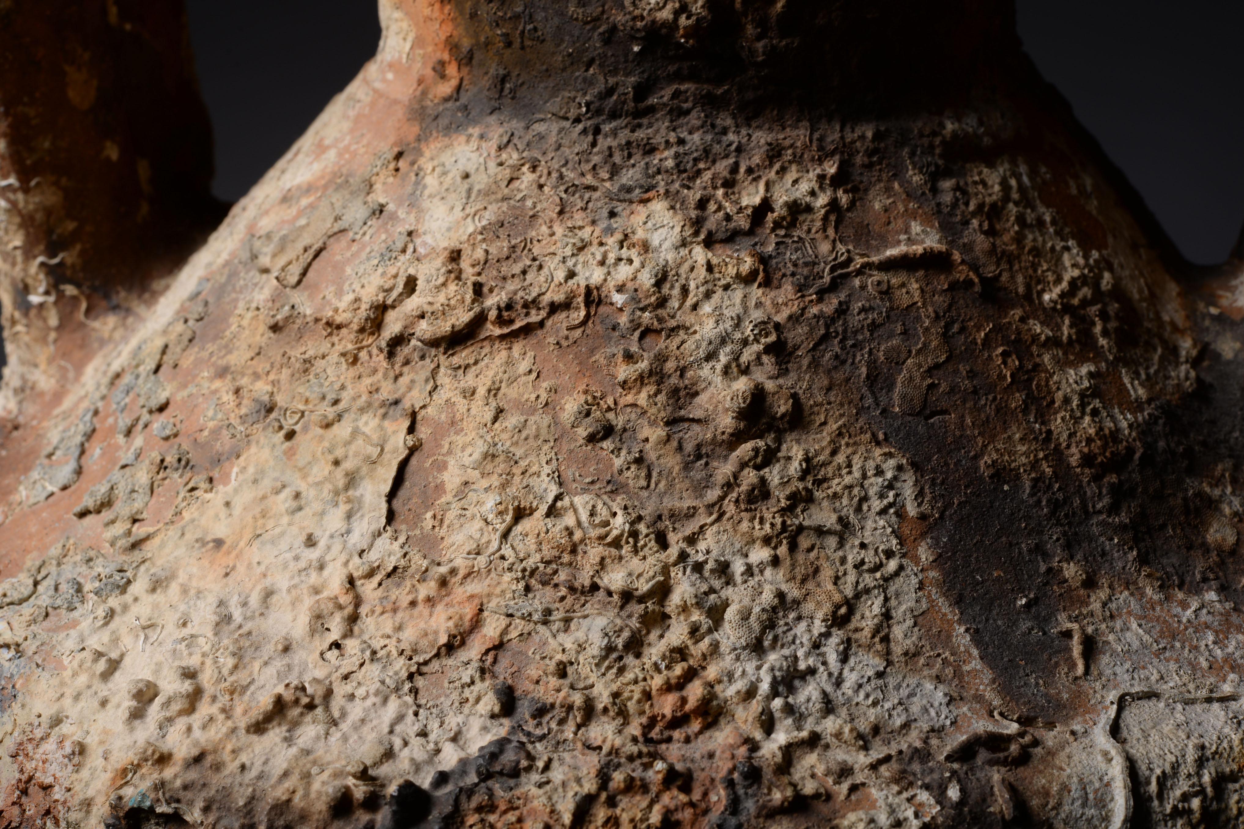 Large Ancient Roman Shipwreck Salvaged Amphora, 100 AD 1