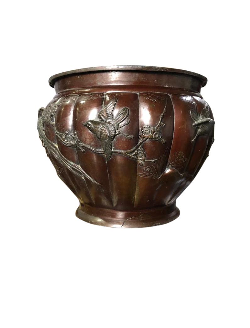 A large and decorative copper firewood bucket, 19th century. This bucket is fantastically decorated with scenes of birds on tree tops. The scene continues all around the bucket as shown in the pictures. This item is excellent for home use by the