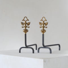 Large and Distinct Pair of Andirons in Brass with Birds 19th Century