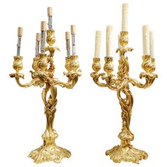 Large and Fine Pair of 19th Century French Louis XV Gilt Bronze Candelabrum