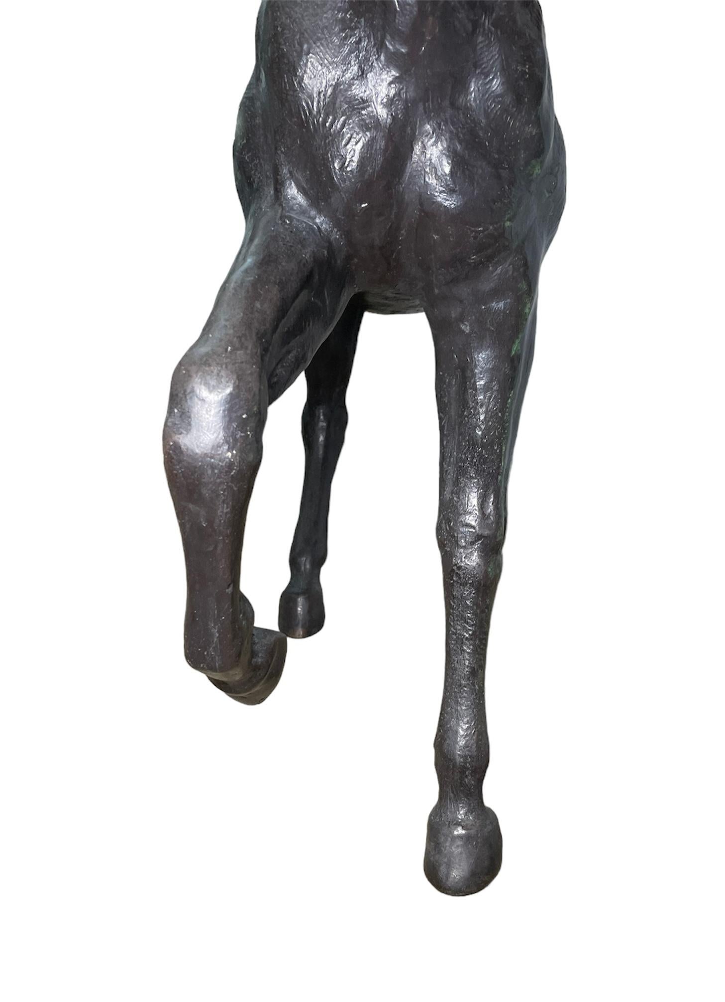 Large and Heavy Patinated Bronze Sculpture/Statue of a Horse 8