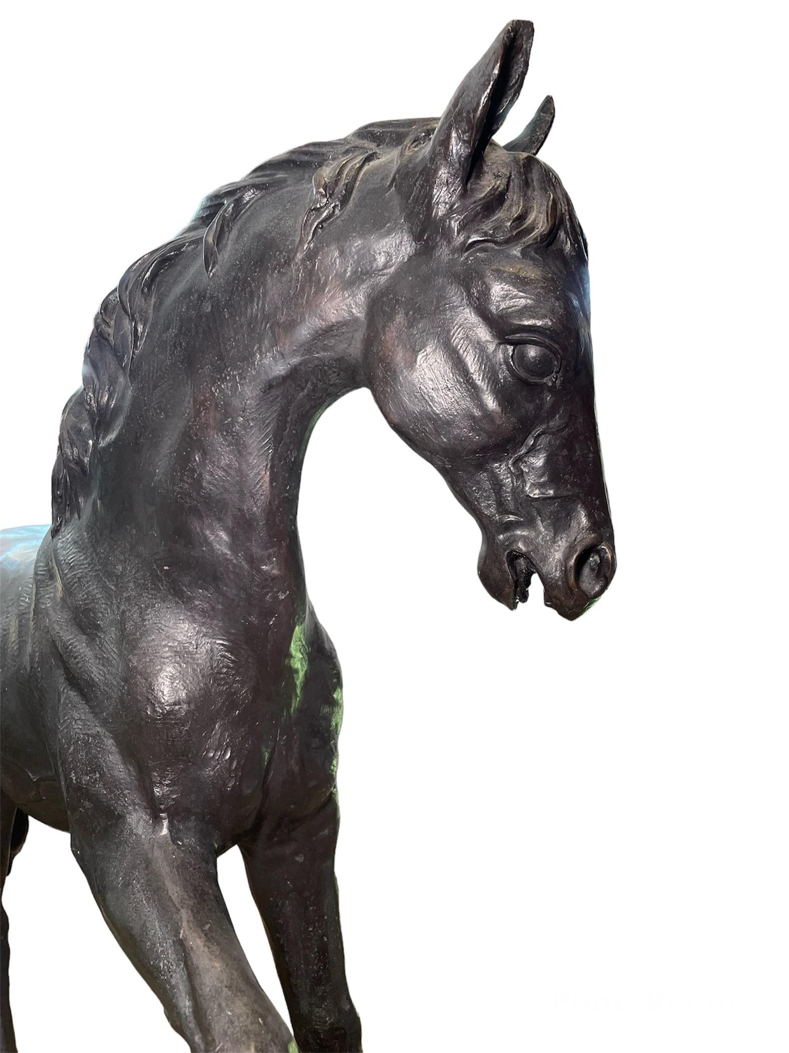 This is a large and heavy patinated bronze sculpture/statue of a horse. It is an almost life size pony that is playfully trotting. The pony sculpture is full of details from head (mane, eyes, nostrils), muscles and bones to hooves.