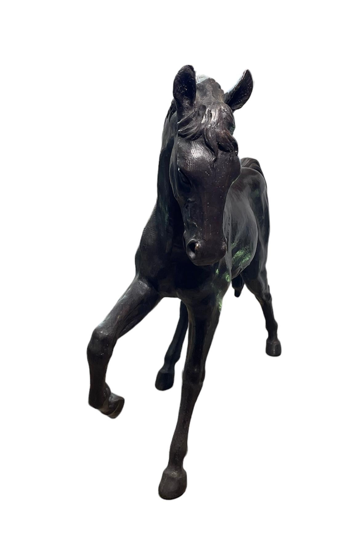 Large and Heavy Patinated Bronze Sculpture/Statue of a Horse In Good Condition In Guaynabo, PR