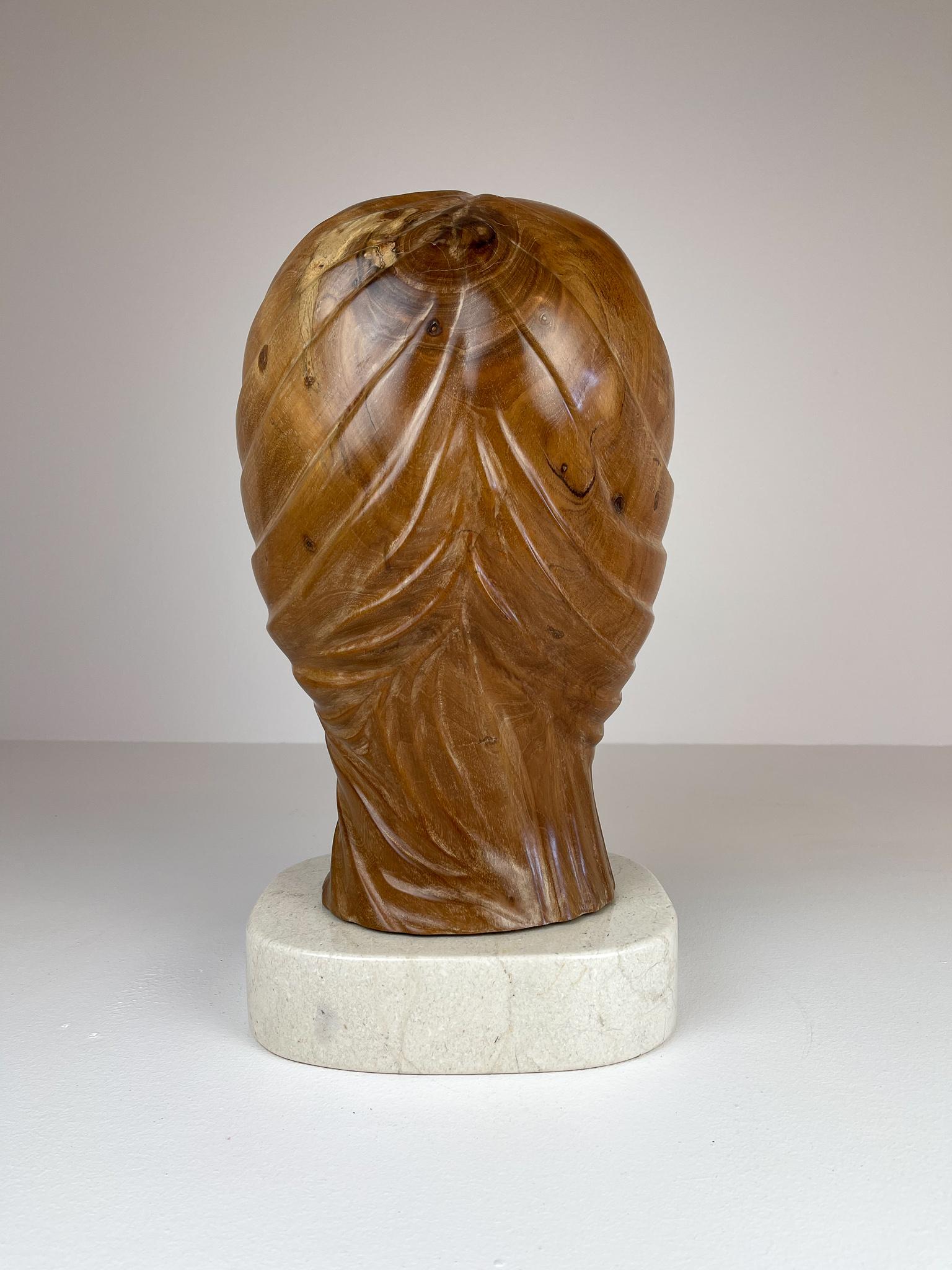 Large and Heavy Sculpture of a Female Face in Mahogany 2