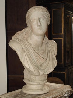 Large and Impressive 19th Century Plaster Bust of Niobe