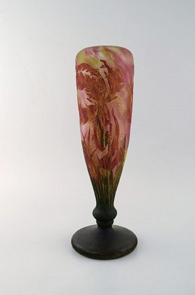 French Large and Impressive Daum Nancy Art Nouveau Cameo Vase in Mouth Blown Art Glass