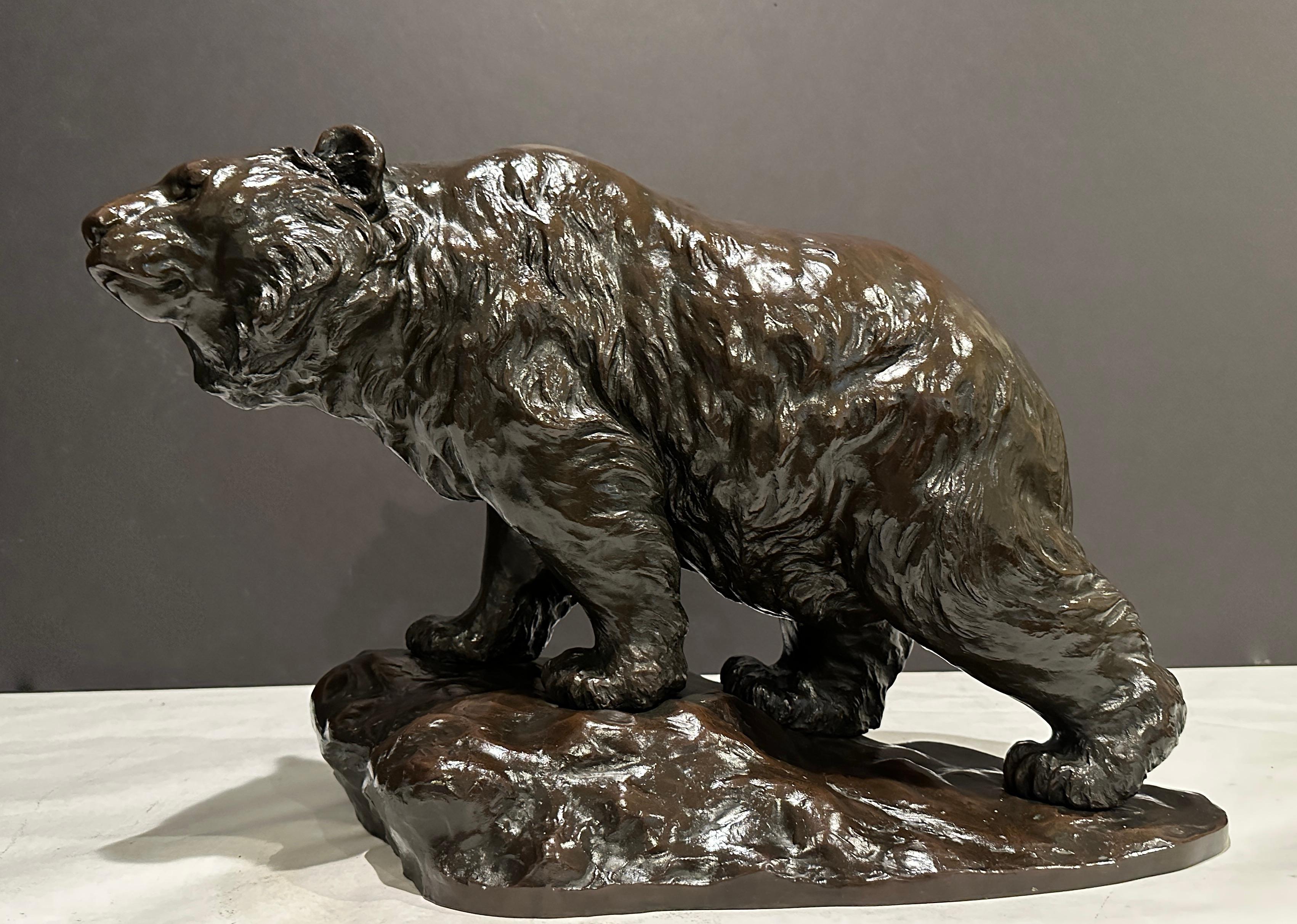 Grande et impressionnante sculpture en bronze patiné représentant un ours. Dans le cadre de notre collection d'œuvres d'art japonaises, nous sommes ravis de proposer ce magnifique Okimono de haute qualité de la période Meiji représentant un Ours à