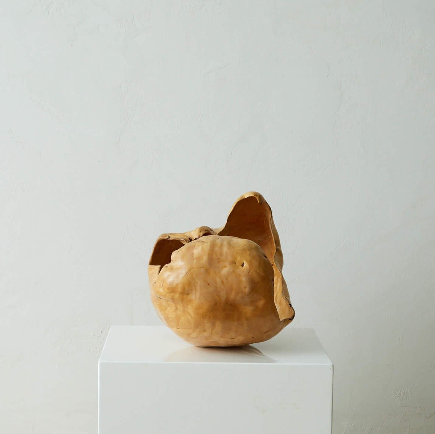 Große und skulpturale Wurzelholzschale (Schwedisch) im Angebot