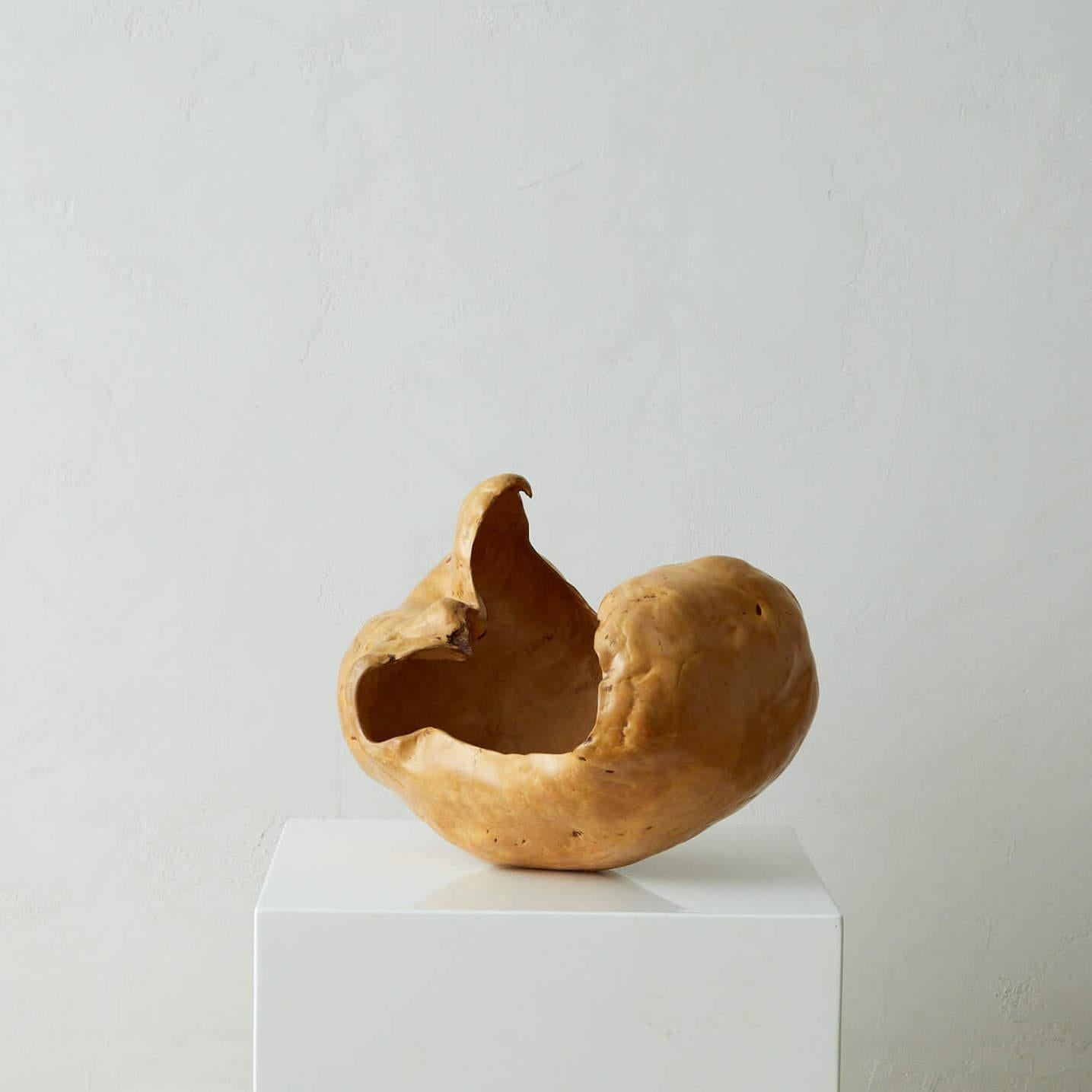 Große und skulpturale Wurzelholzschale (Handgeschnitzt) im Angebot