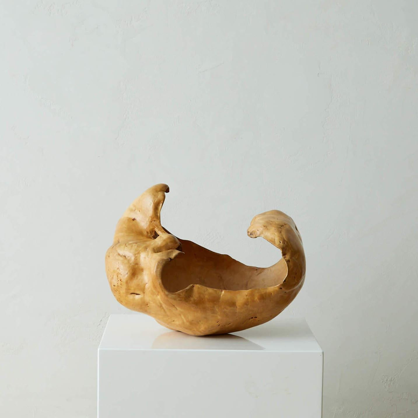 Große und skulpturale Wurzelholzschale im Zustand „Gut“ im Angebot in Long Island City, NY