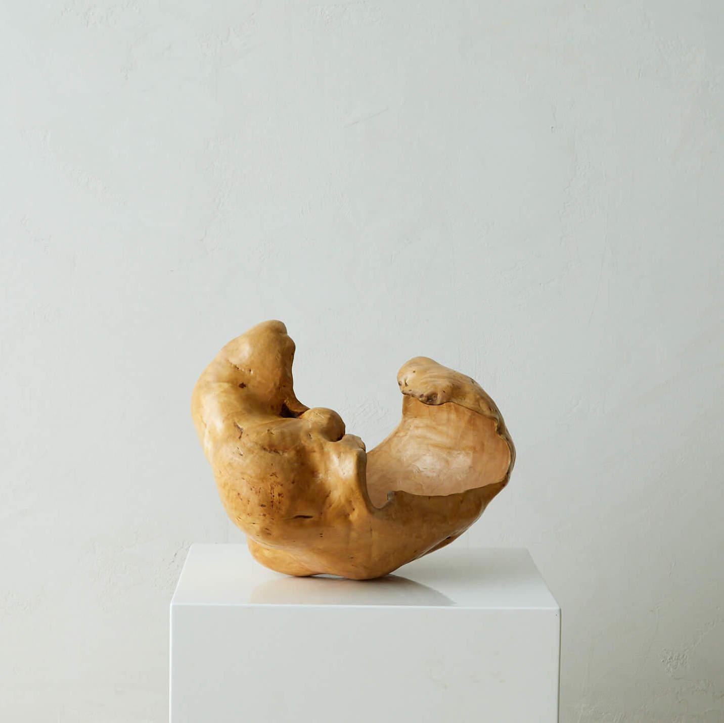 Große und skulpturale Wurzelholzschale (20. Jahrhundert) im Angebot