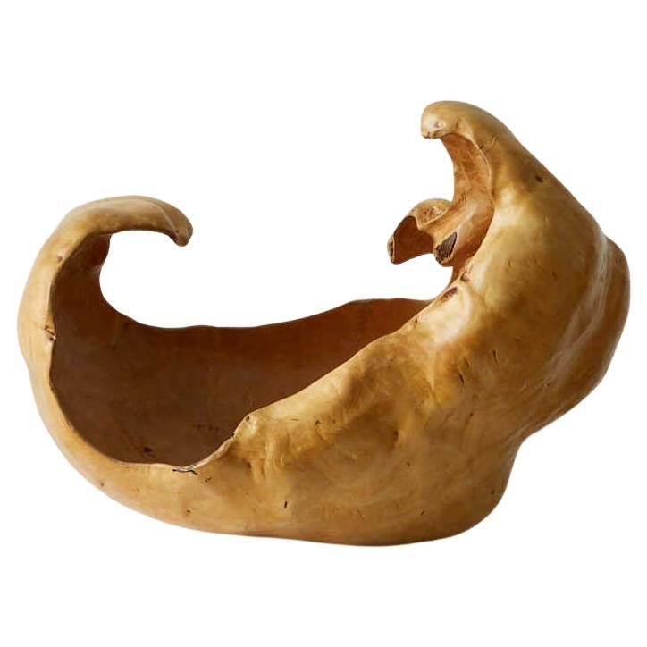 Große und skulpturale Wurzelholzschale im Angebot