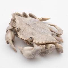 Large and Very Detailed North American Moose Antler Carving of Crab