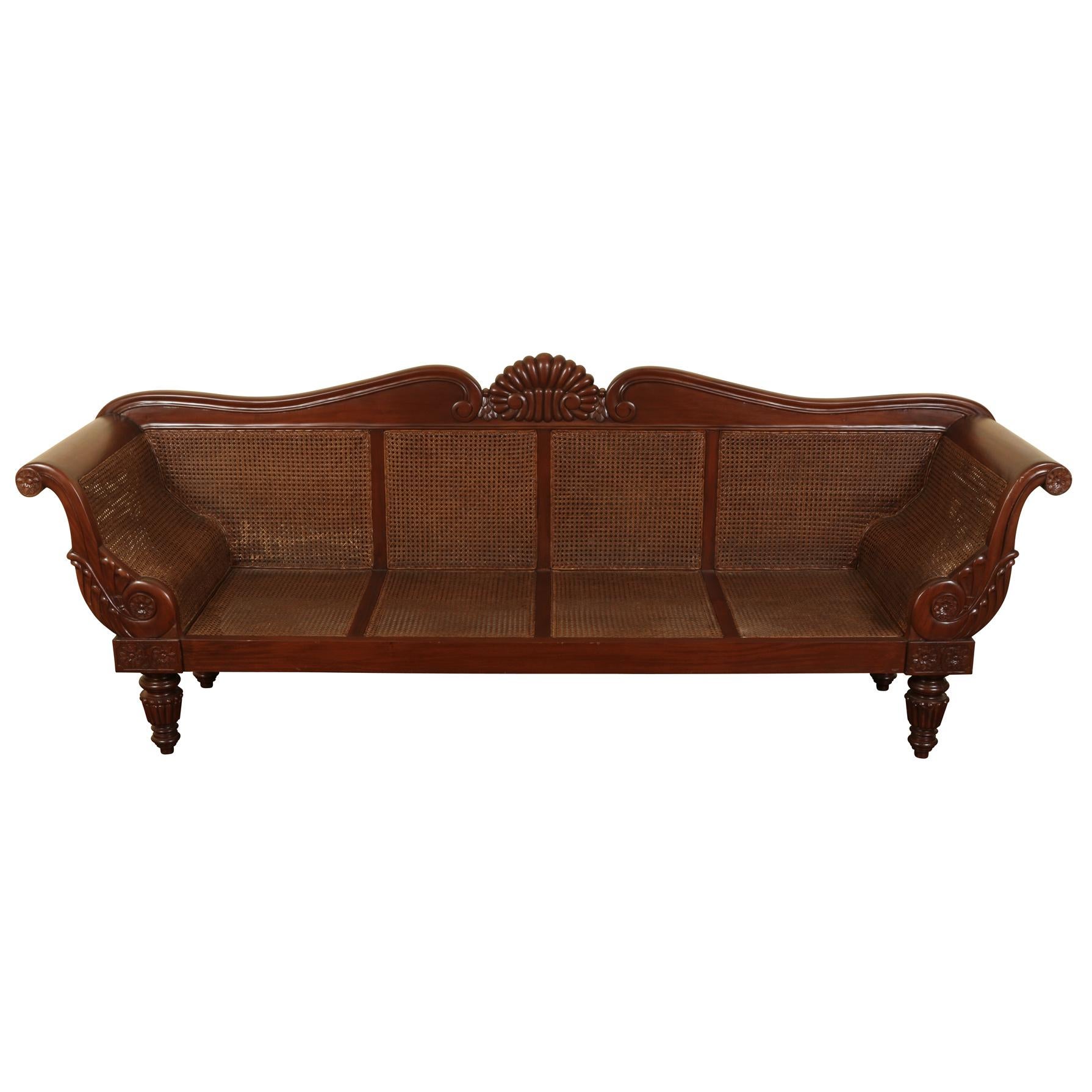 Large Anglo Indian cane and wood sofa with removable cushion on caned seat and caned back, rolled arms and curved back with shell detail.