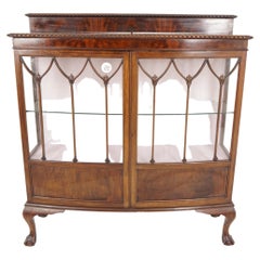 Used Large Ant, Walnut Bow Front Display Cabinet, China Cabinet, Scotland 1910, H807