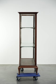 Large antique 19th-century English oak display cabinet/shop cabinet