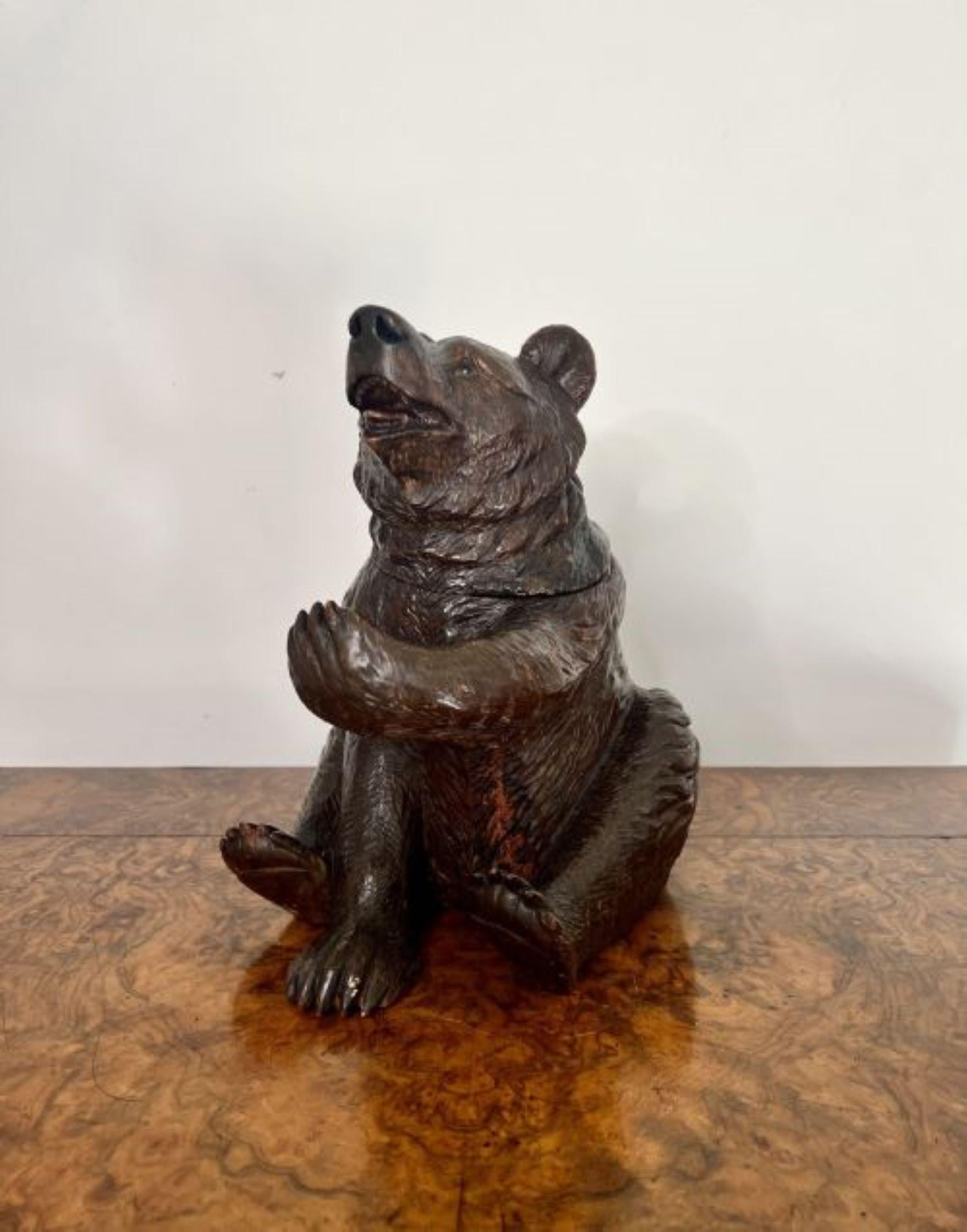 Grand ours de la Forêt-Noire sculpté au 19e siècle, de qualité victorienne, en position assise, avec les yeux en verre d'origine, des détails sculptés fantastiques sur toute la surface. Sa tête se soulève sur le côté pour révéler un compartiment de