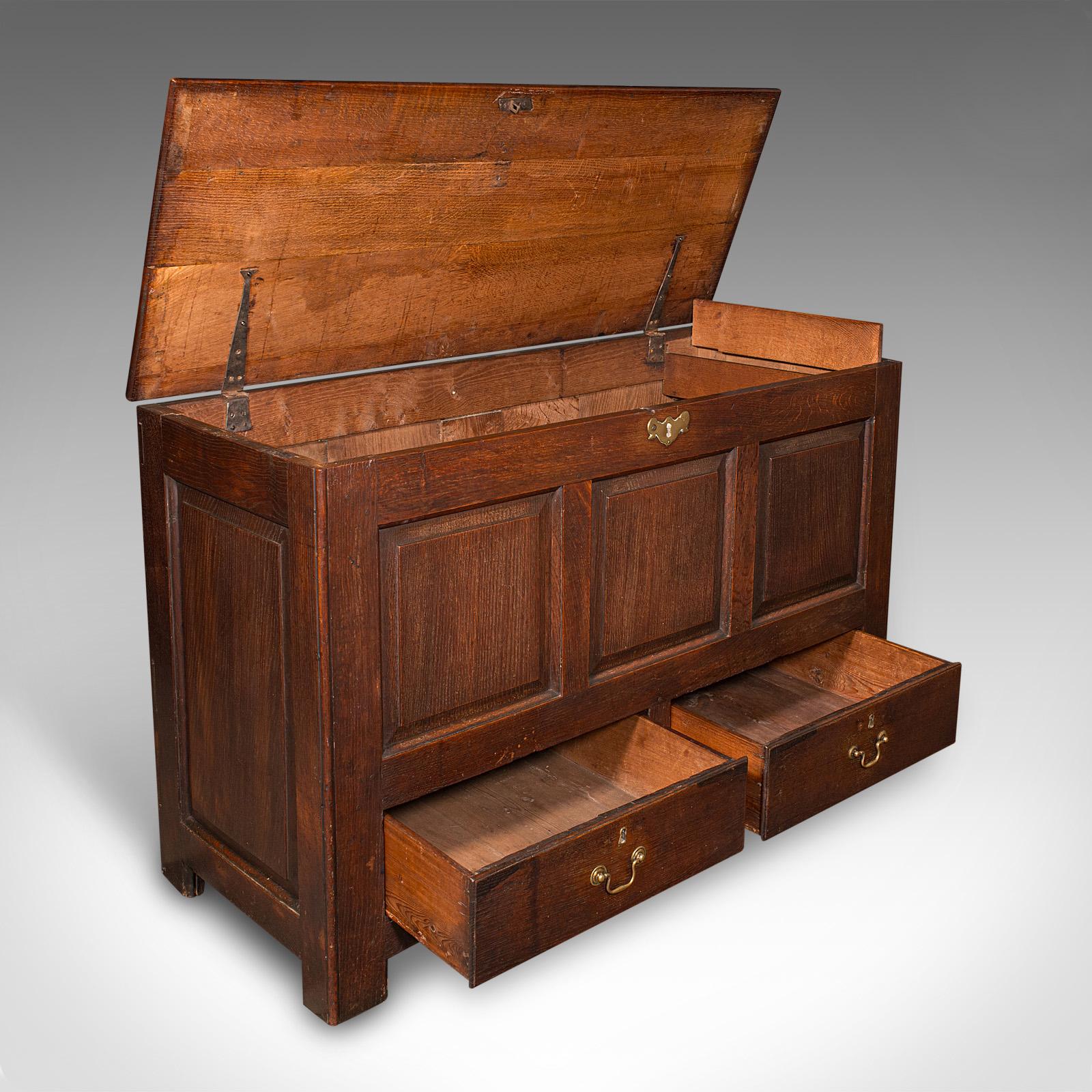 Si tratta di una bella cassapanca d'epoca georgiana, che offre un ampio spazio di archiviazione e un fascino da casa di campagna, risalente al 1770 circa. Questo grande baule antico è un'aggiunta di carattere agli interni, sia tradizionali che
