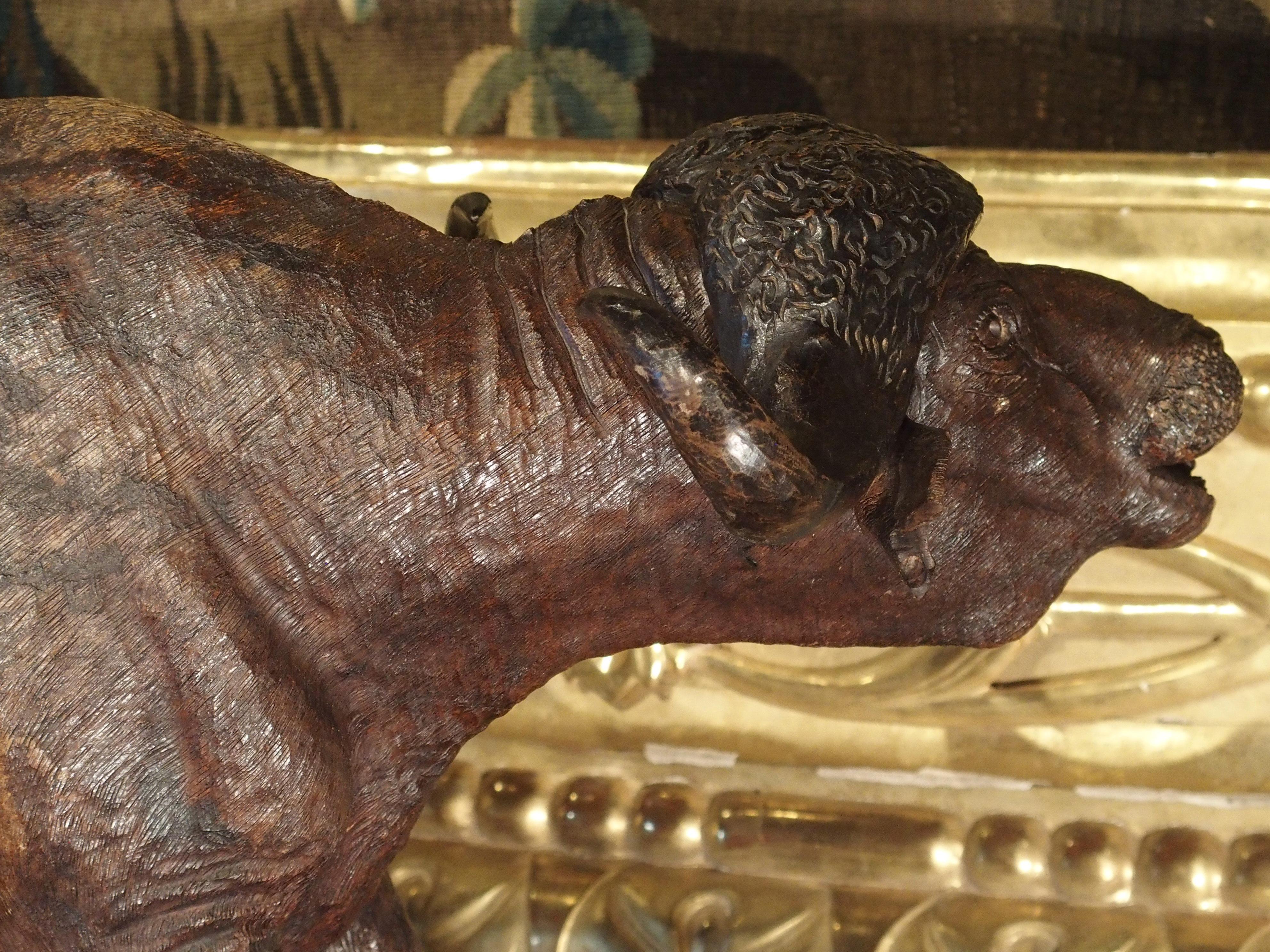 Large Antique African Hardwood Cape Buffalo Sculpture, circa 1900 For Sale 8