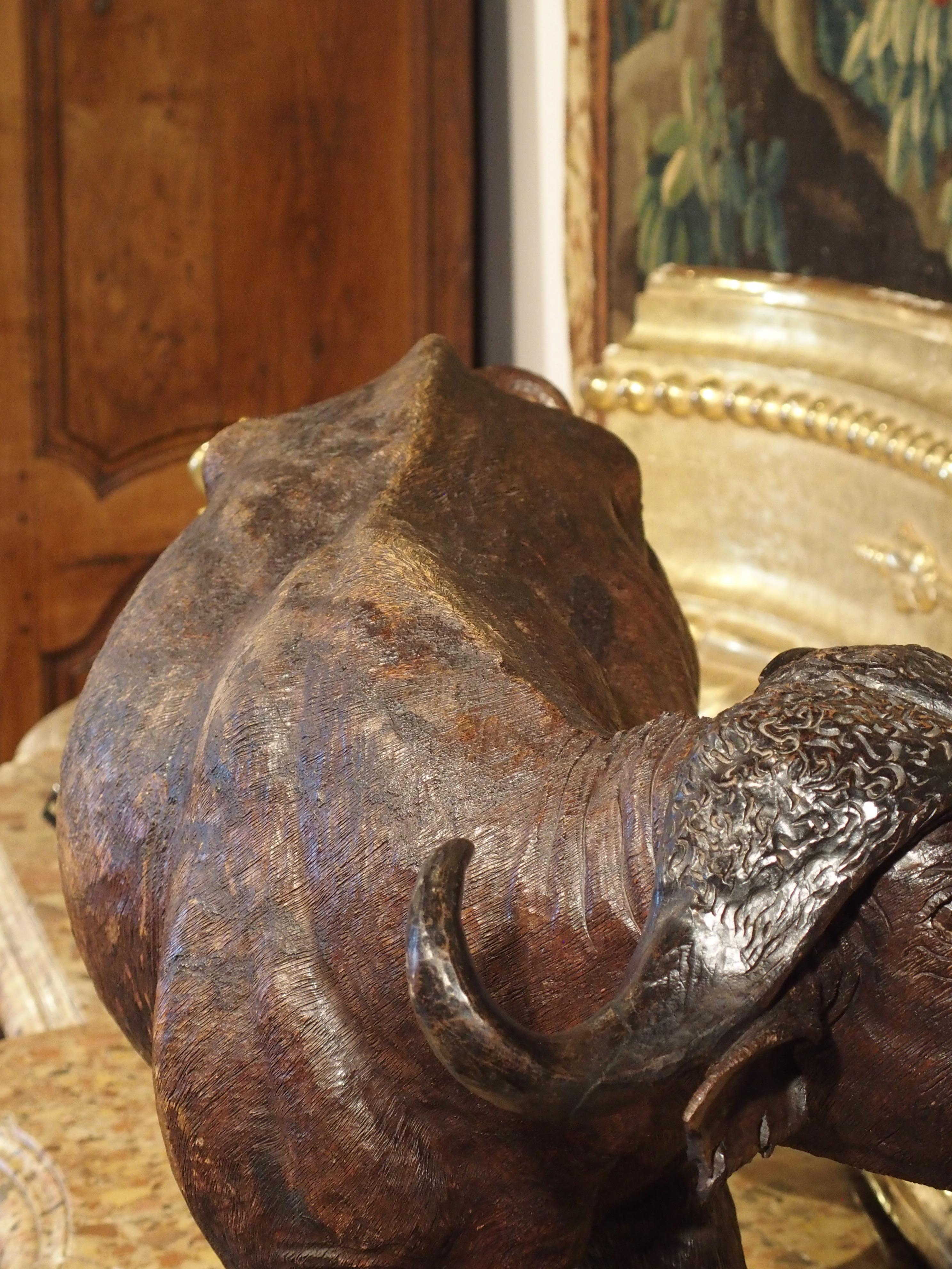 Grande sculpture ancienne de buffle du Cap en bois dur africain, vers 1900 en vente 9