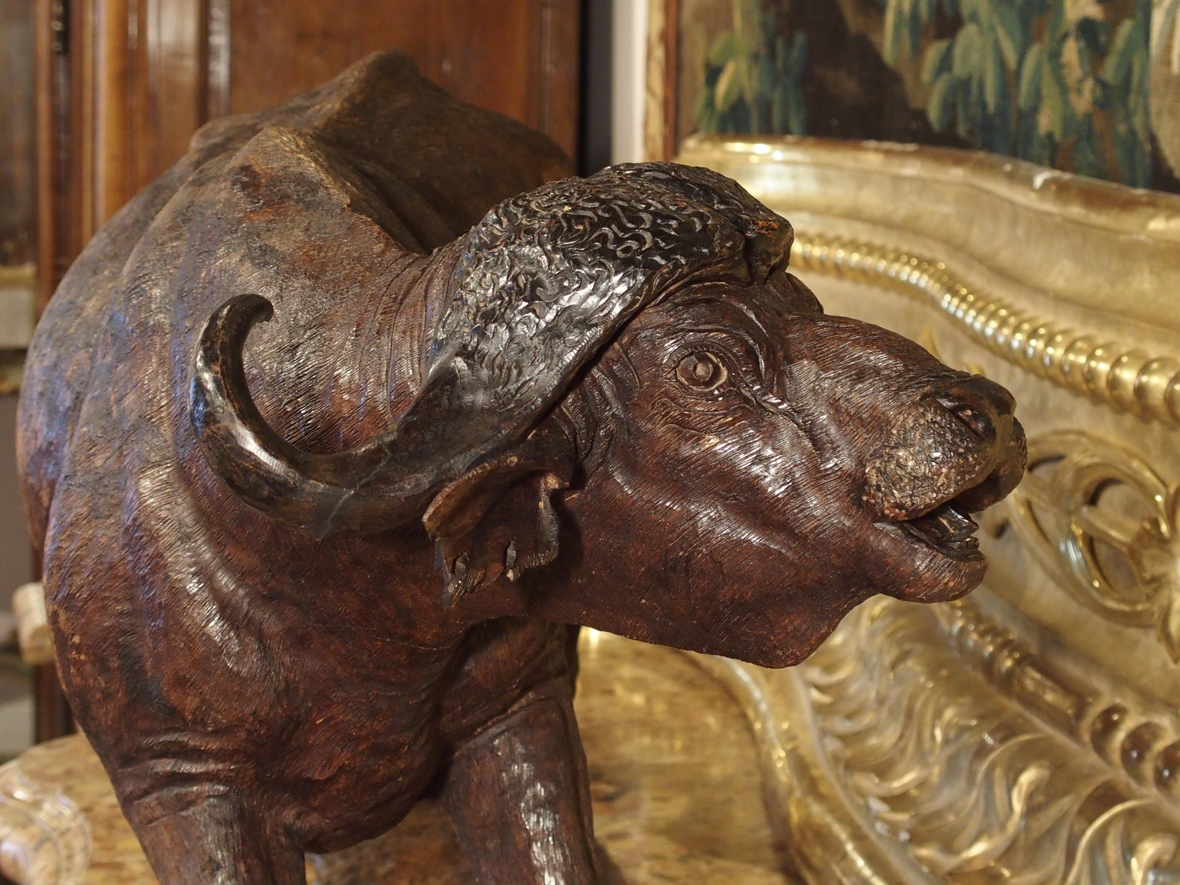Grande sculpture ancienne de buffle du Cap en bois dur africain, vers 1900 en vente 11