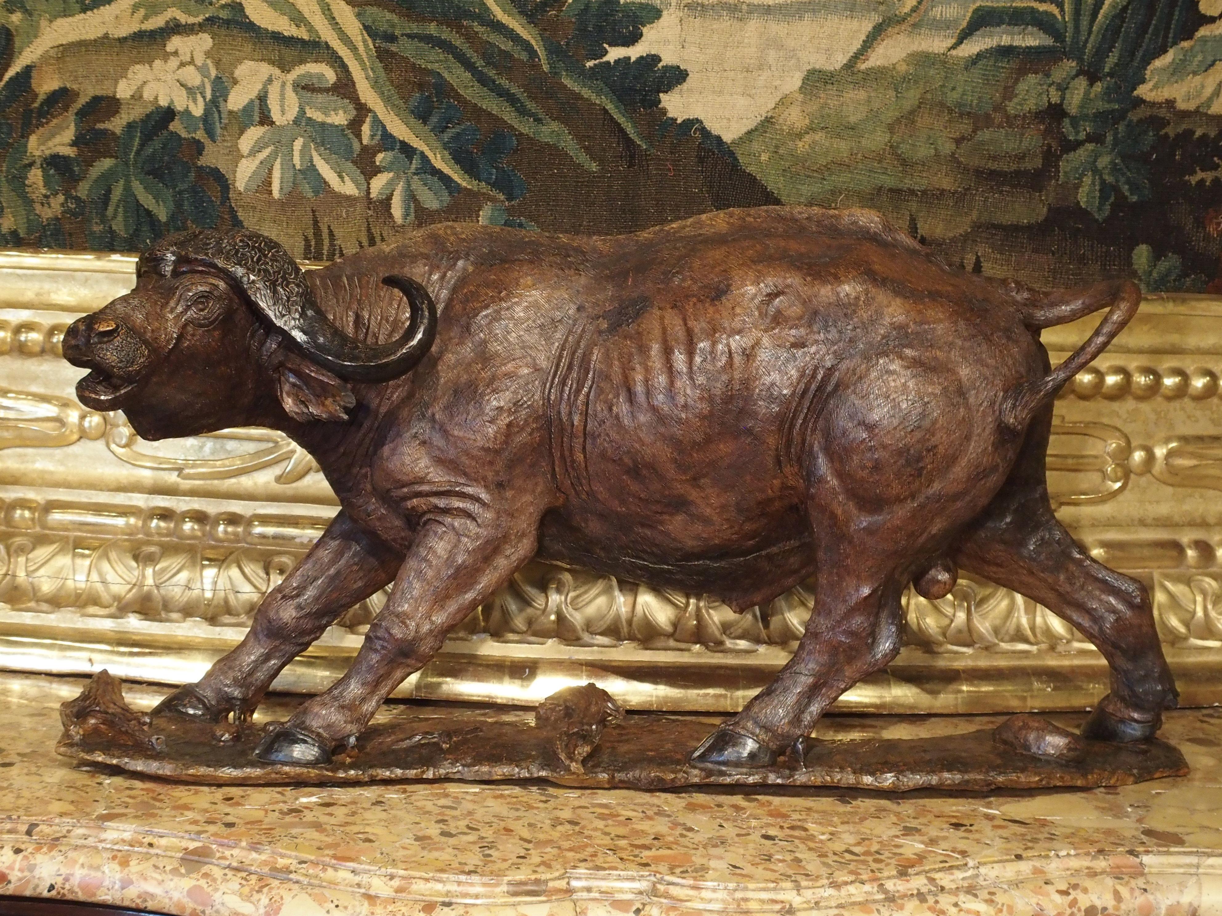 Grande sculpture ancienne de buffle du Cap en bois dur africain, vers 1900 en vente 12