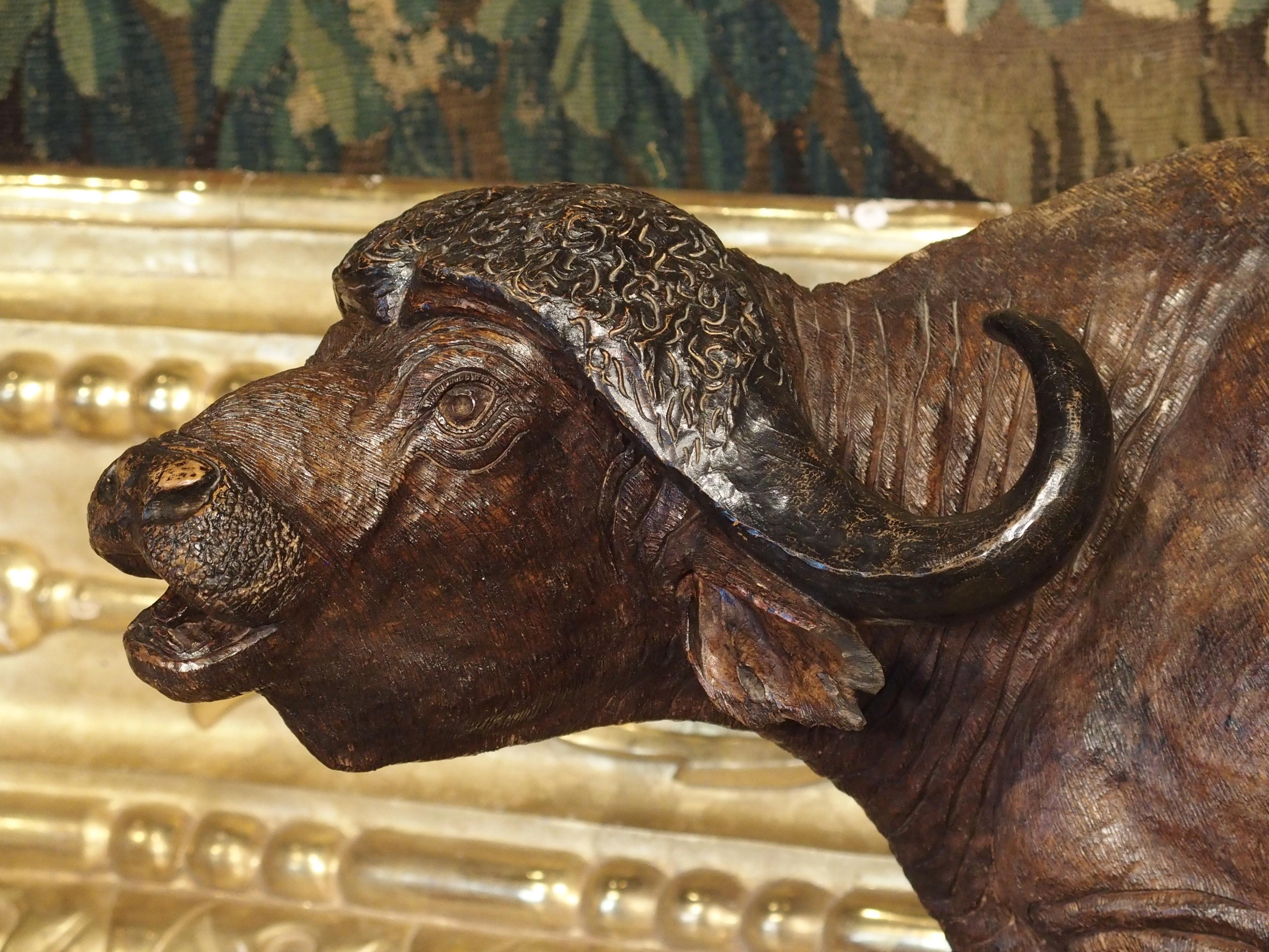 Large Antique African Hardwood Cape Buffalo Sculpture, circa 1900 For Sale  at 1stDibs