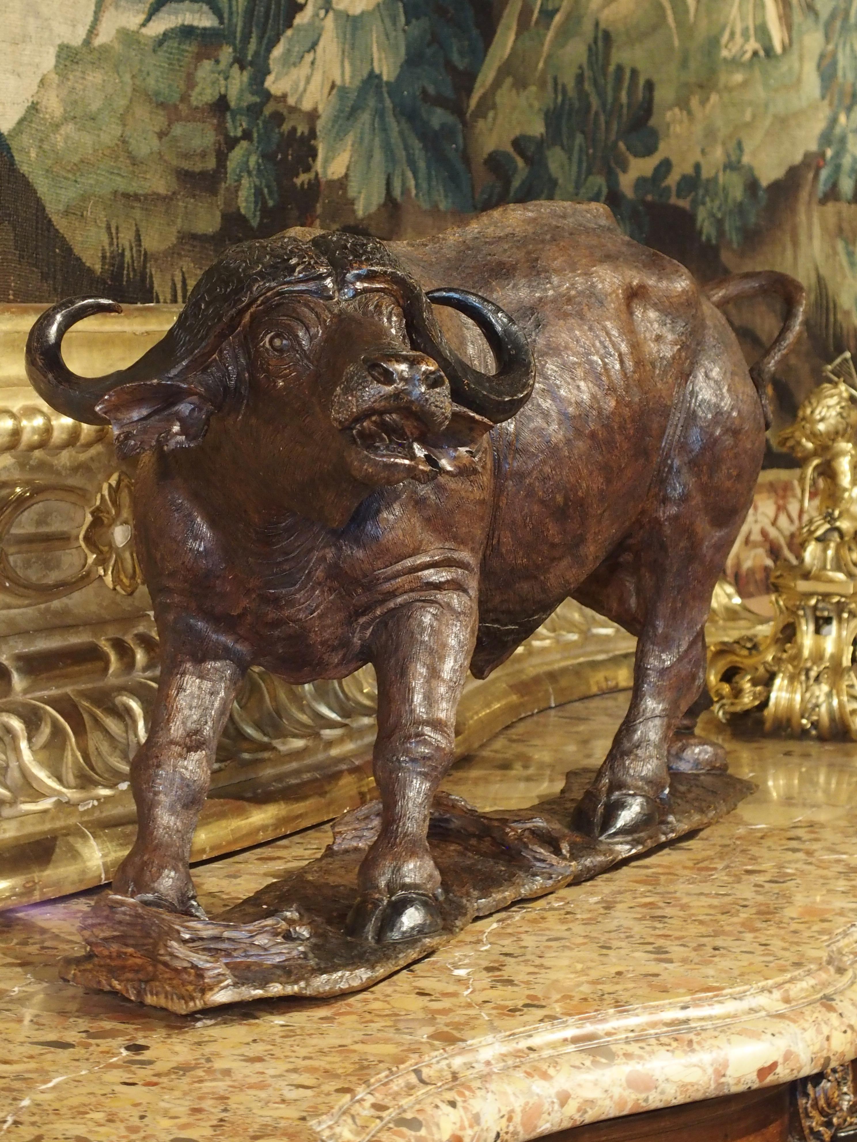 Début du 20ème siècle Grande sculpture ancienne de buffle du Cap en bois dur africain, vers 1900 en vente