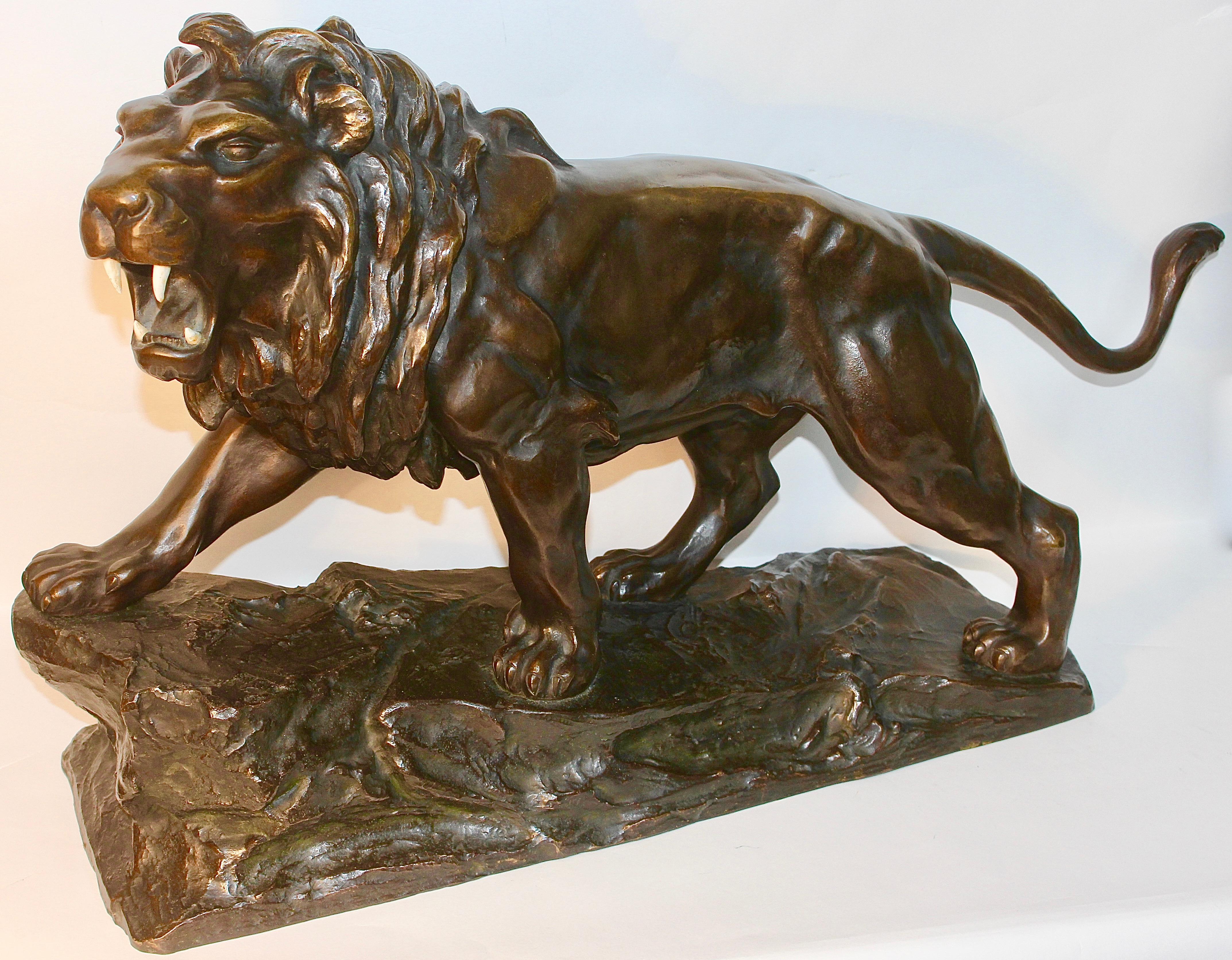 Large, antique and very fine bronze sculpture. Striding, roaring lion.
The sculpture is very heavy.