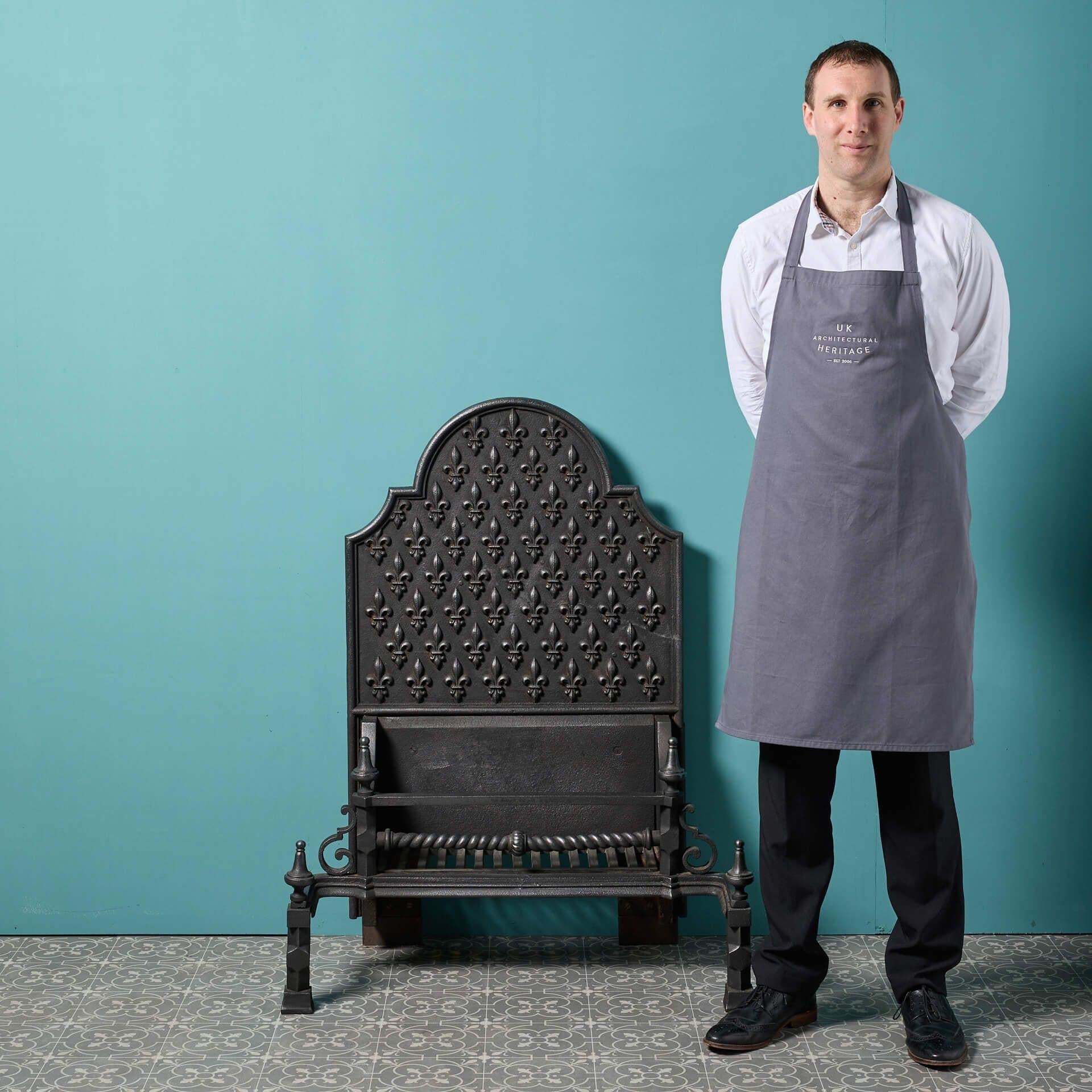 A large antique Baroque style antique cast iron fire grate dating to circa 1850.

The high arched back-plate decorated with a fleur de lys pattern adds flare and elegance to this fire grate, perfect for the main room of a large traditional property.
