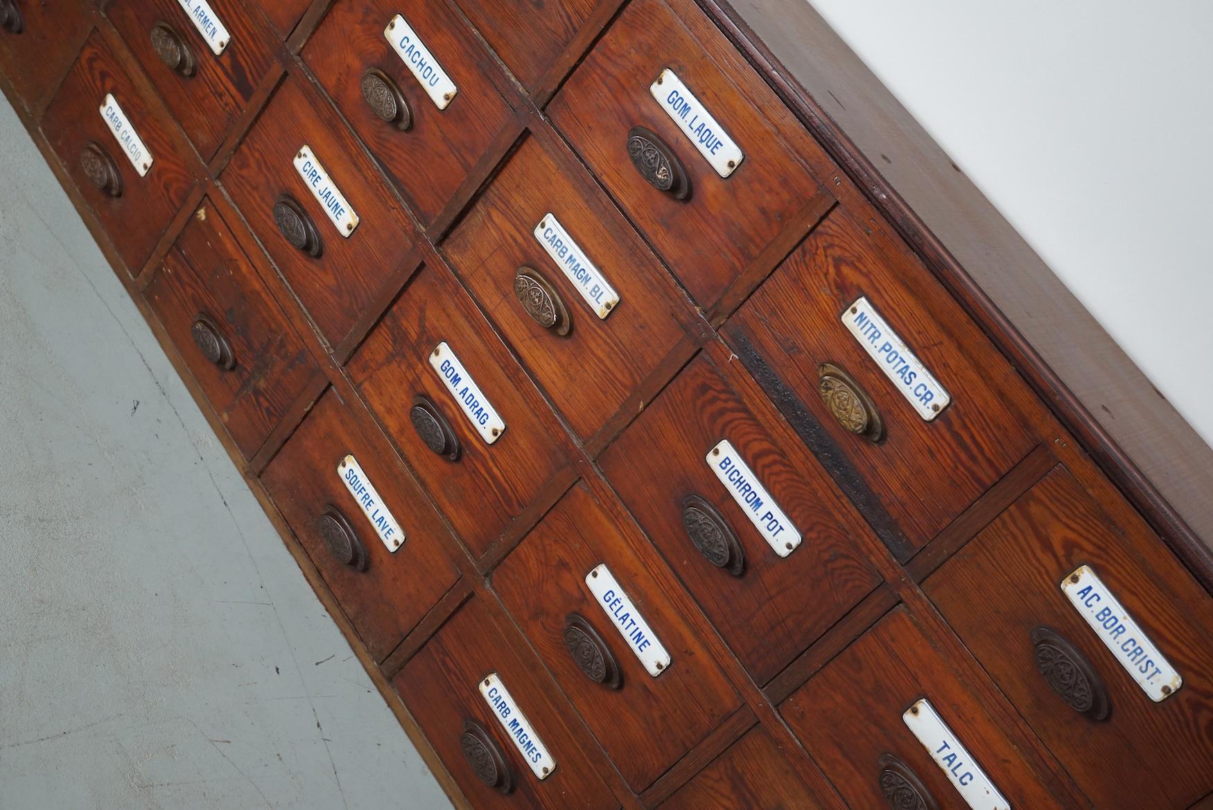  Grande armoire d'apothicaire belge ancienne en pin avec boucliers en émail, années 1900 en vente 5