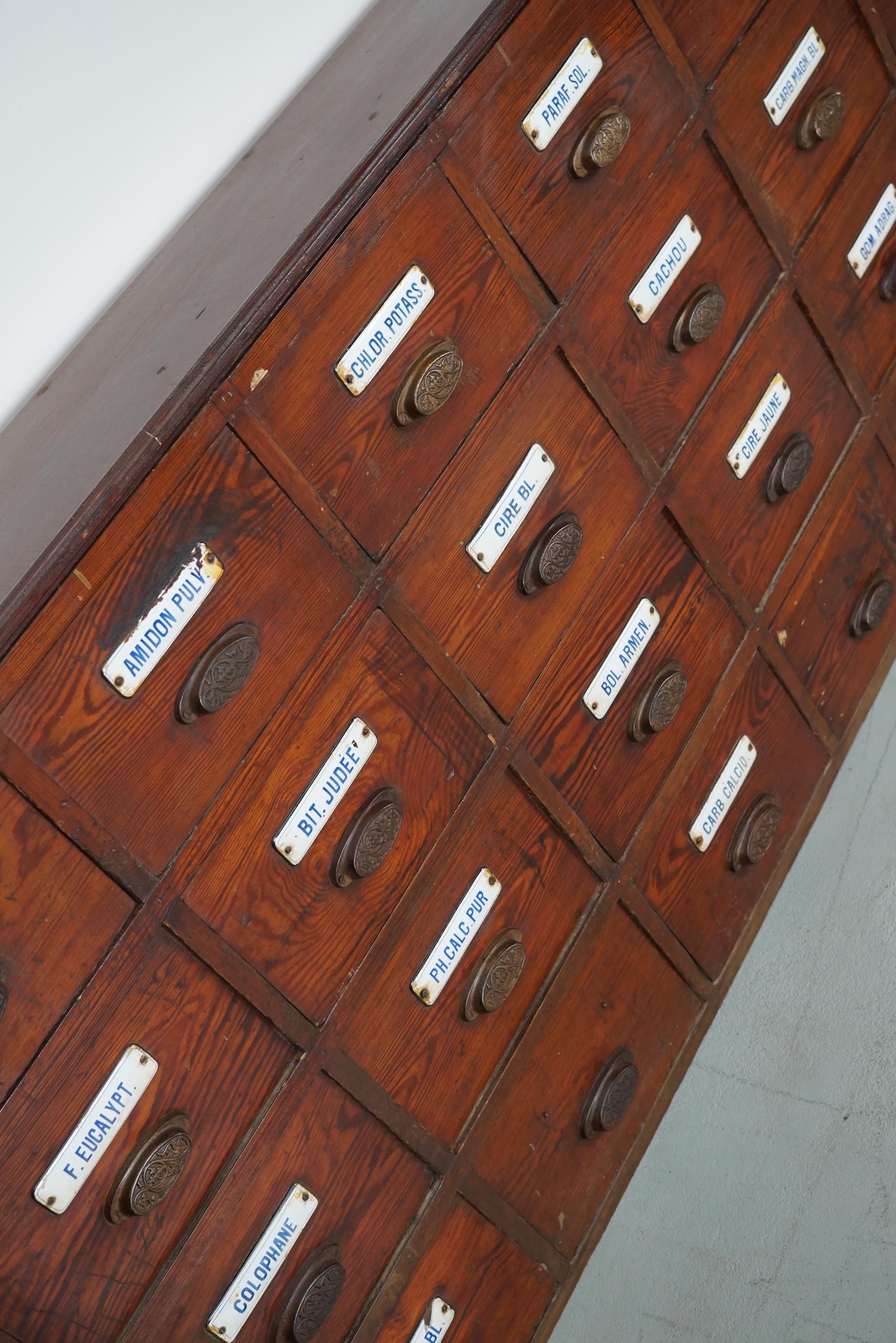  Grande armoire d'apothicaire belge ancienne en pin avec boucliers en émail, années 1900 en vente 11