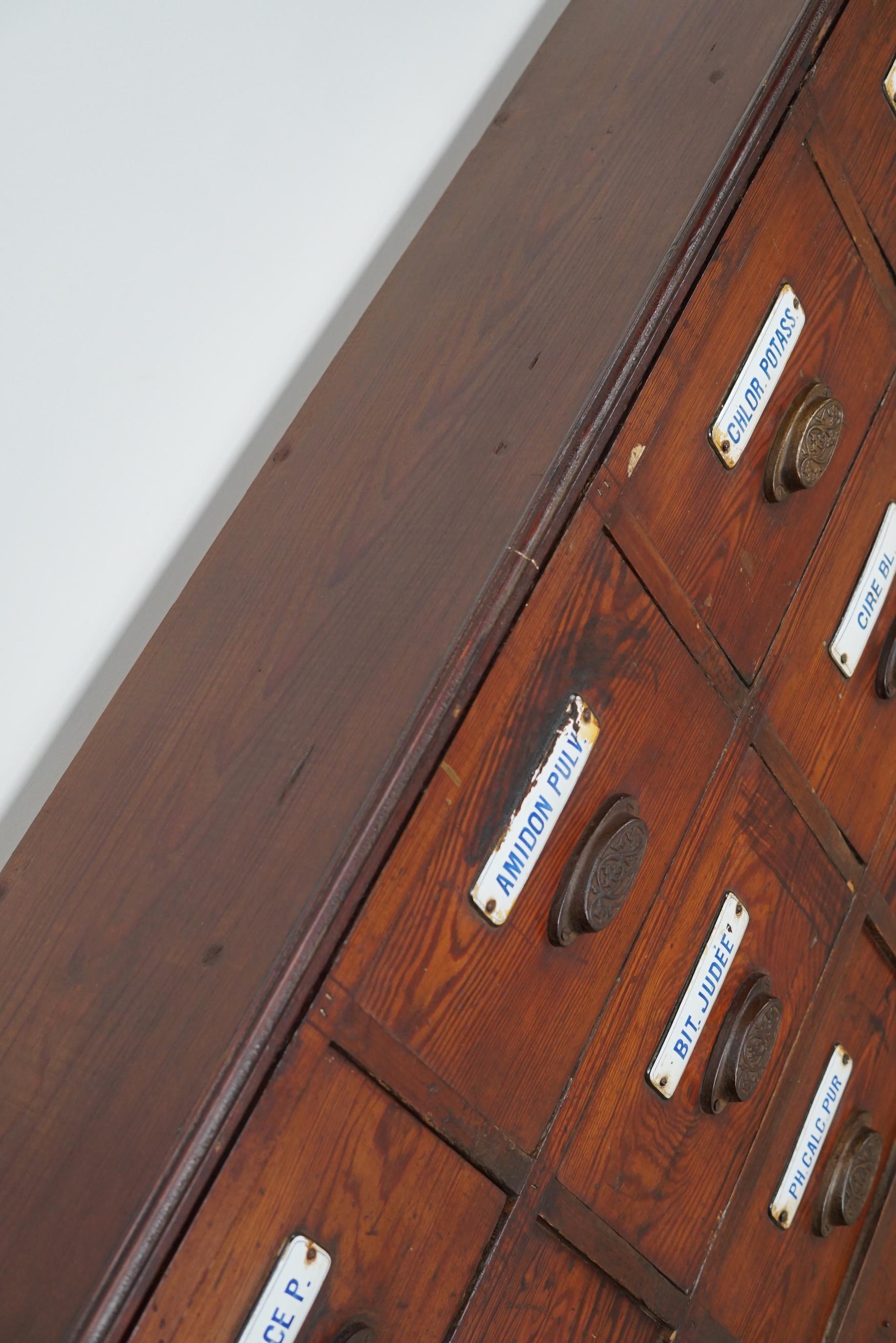  Grande armoire d'apothicaire belge ancienne en pin avec boucliers en émail, années 1900 en vente 12