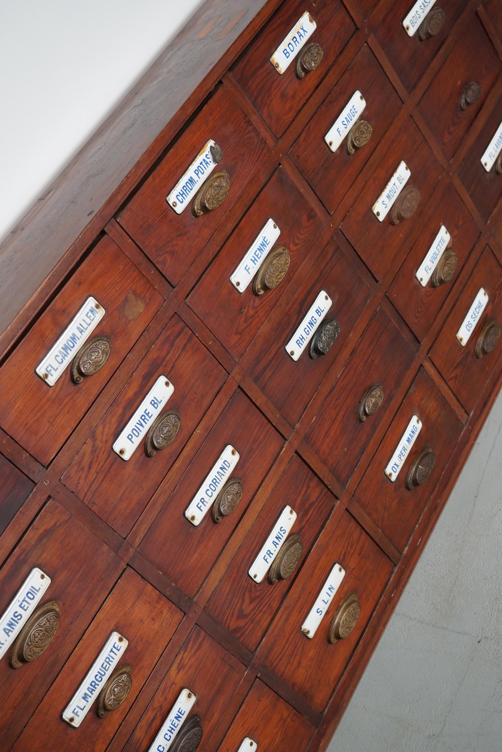  Grande armoire d'apothicaire belge ancienne en pin avec boucliers en émail, années 1900 en vente 2