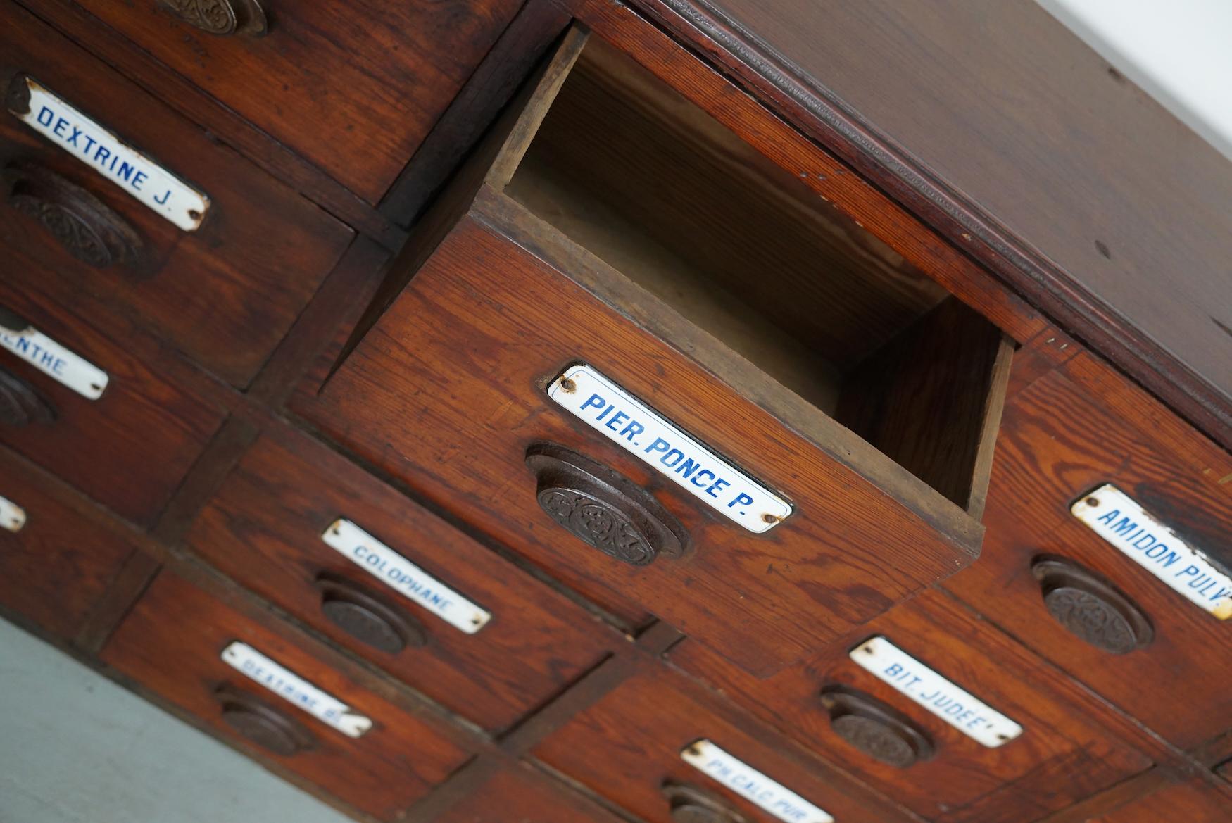  Grande armoire d'apothicaire belge ancienne en pin avec boucliers en émail, années 1900 en vente 2