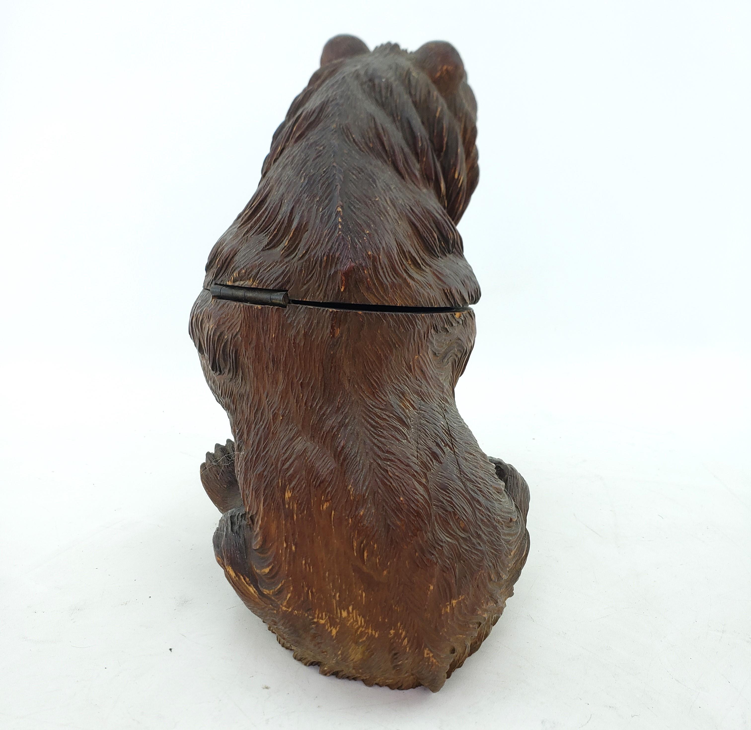 Large Antique Black Forest Brienz Hand Carved Wood Bear Humidor Sculpture In Good Condition For Sale In Hamilton, Ontario