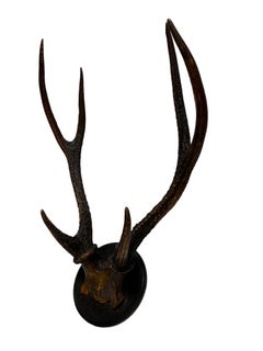 Large Antique Black Forest Deer Antler Trophy Wood Carved Plaque, Austria, 1860s