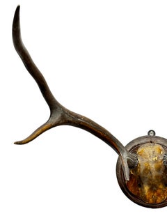 Large Antique Black Forest Deer Antler Trophy Wood Carved Plaque, Austria, 1860s