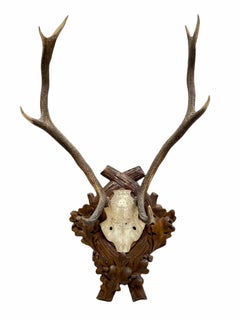 Large Antique Black Forest Deer Antler Trophy Wood Carved Plaque, Austria, 1900s